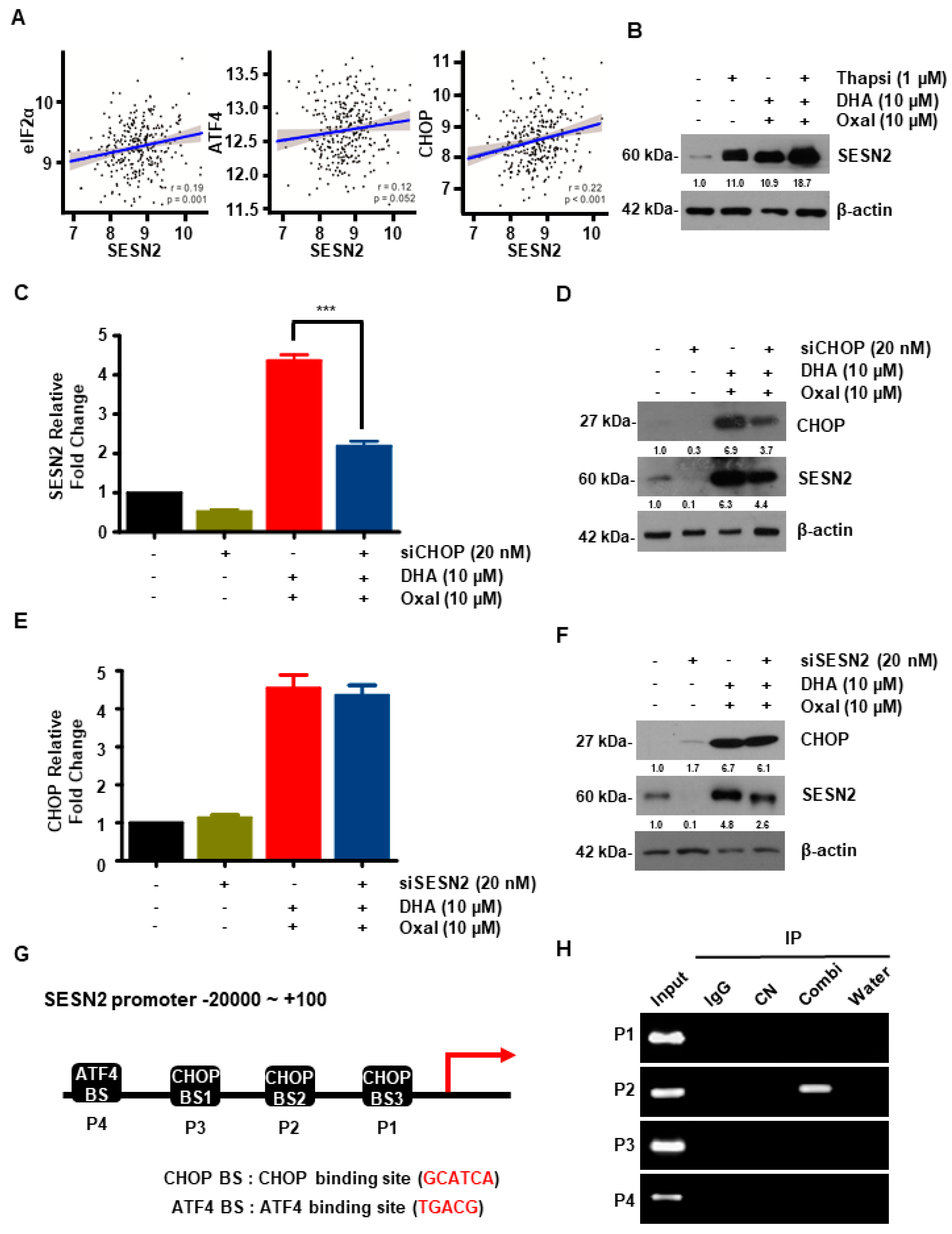 Cancers 11 00982 g005