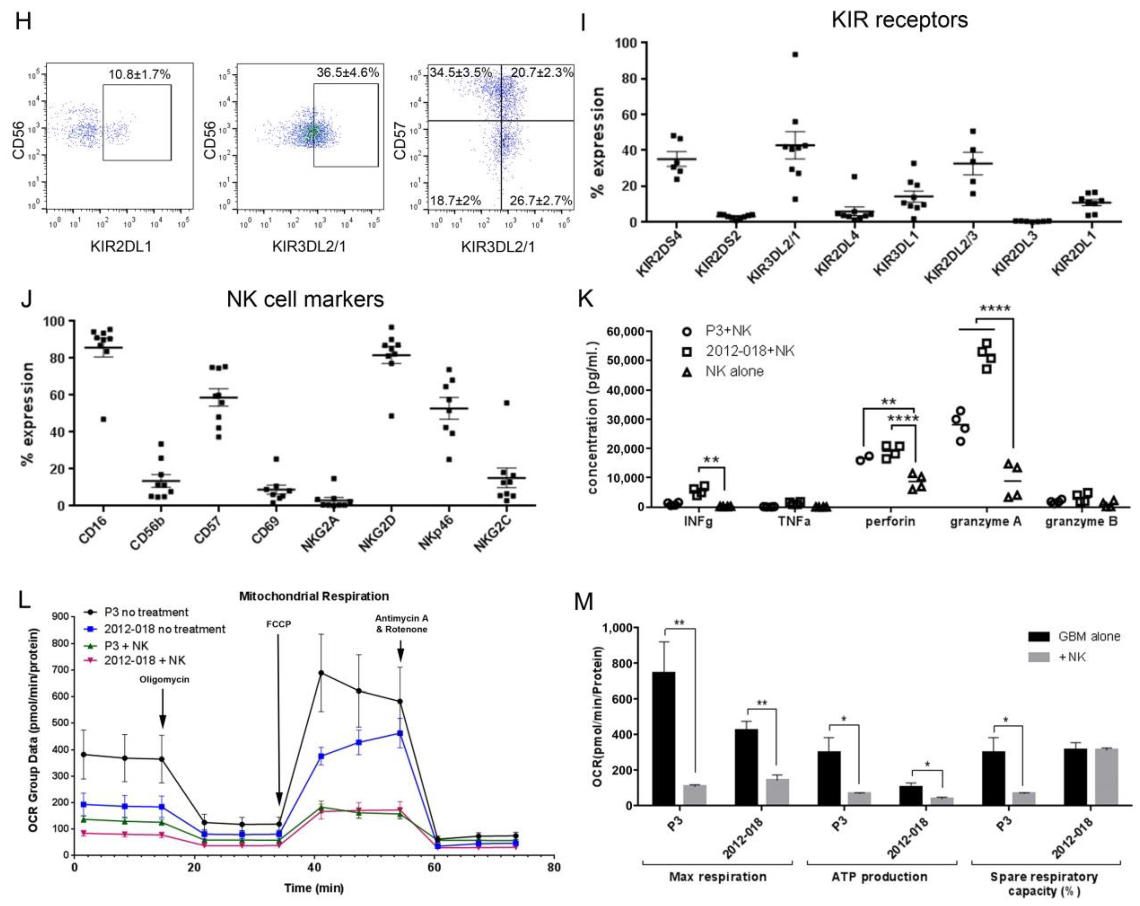 Cancers 11 00996 g001b Cancers 11 00996 g001b