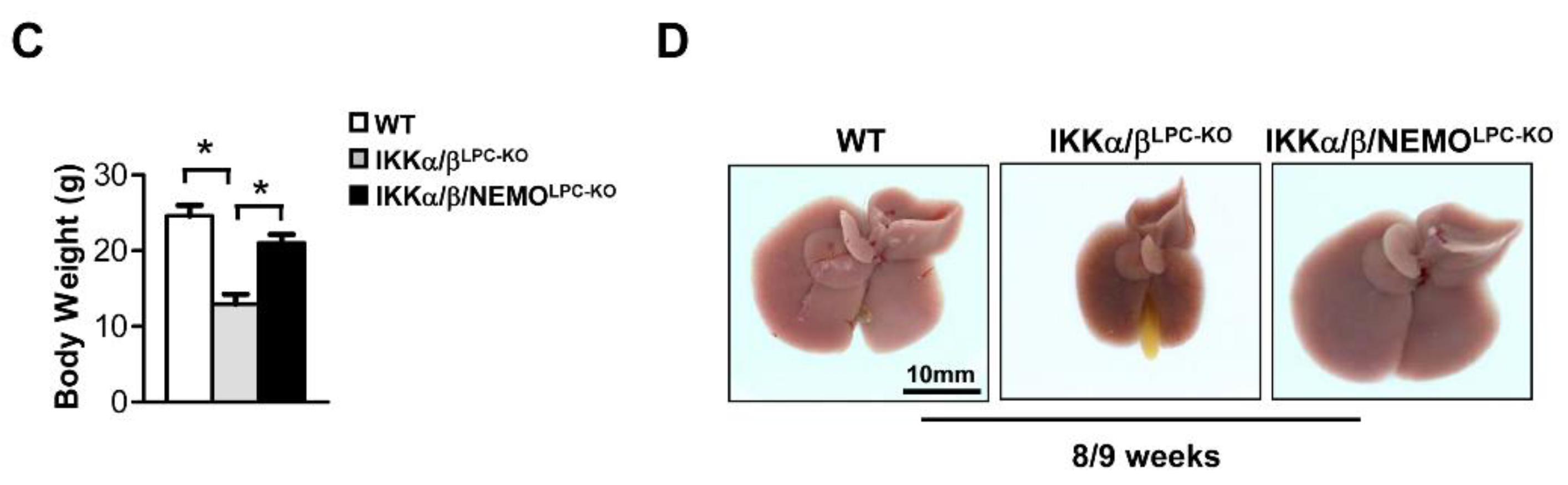 Cancers 11 00999 g001b