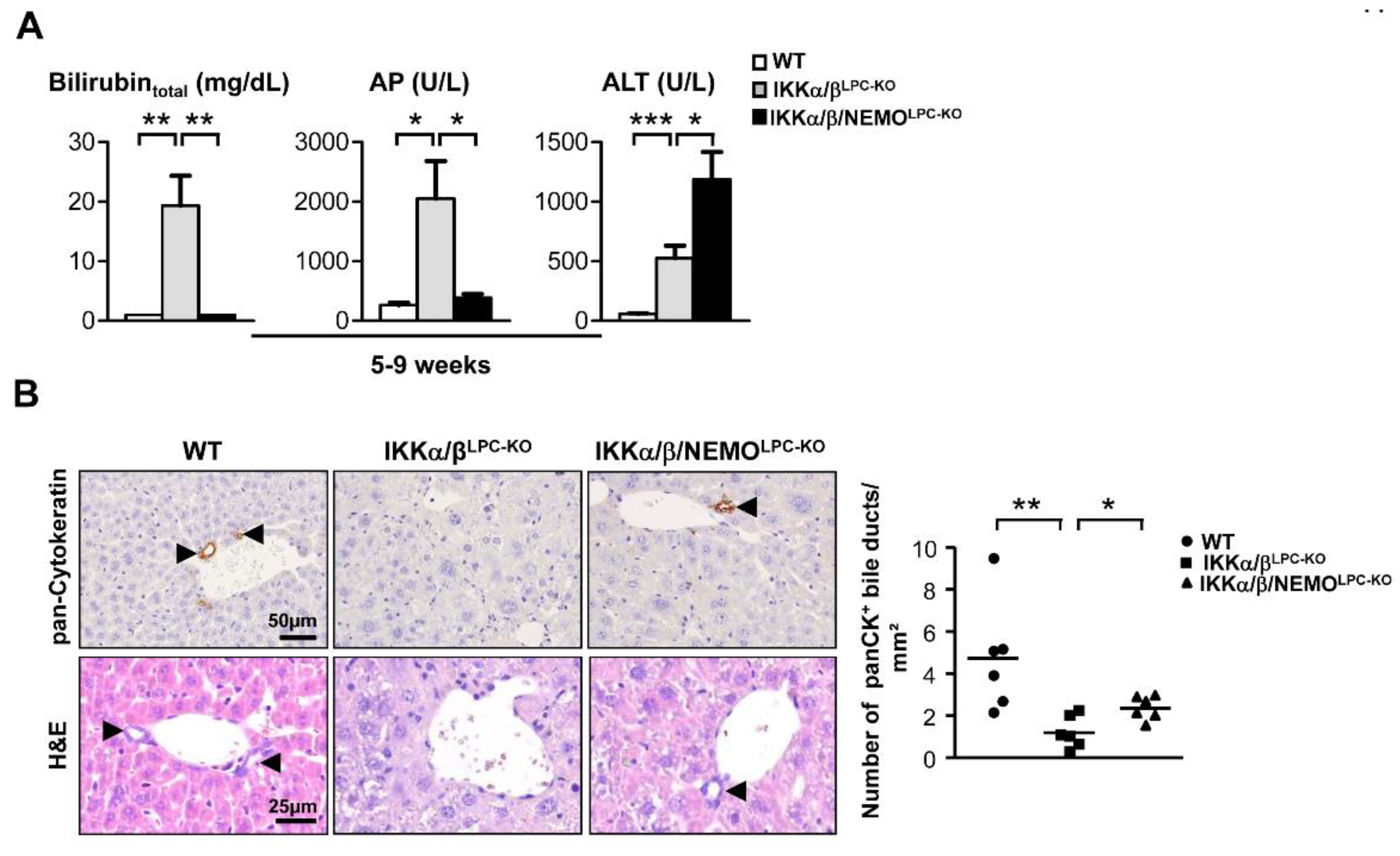 Cancers 11 00999 g002