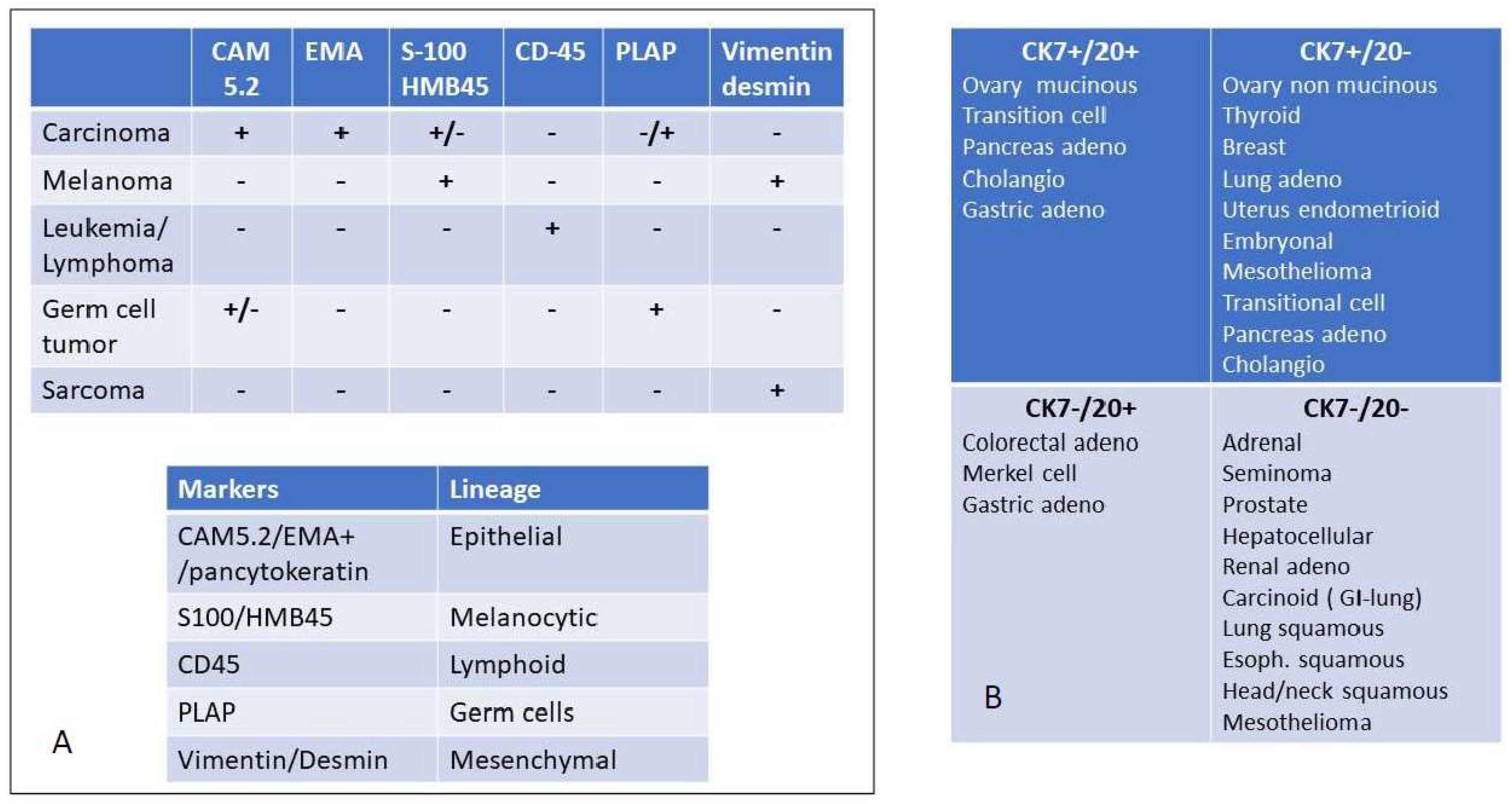 benign mesothelioma tumor