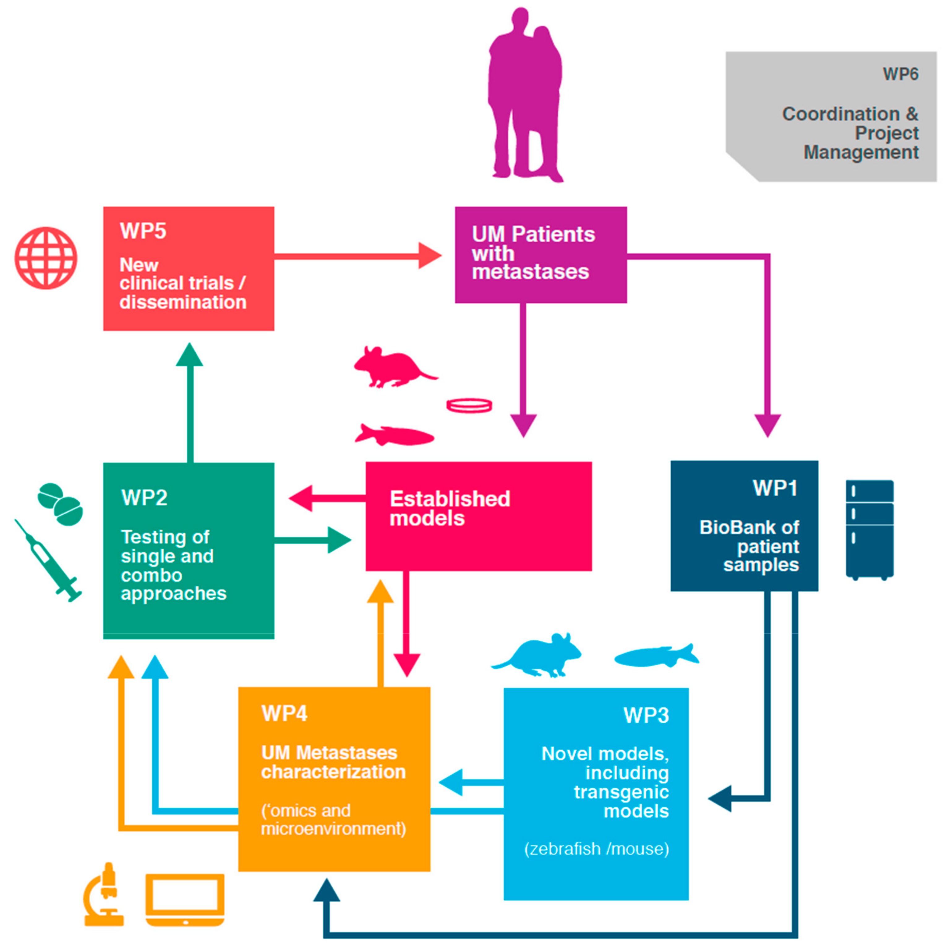 Cancers 11 01032 g001 Cancers 11 01032 g001