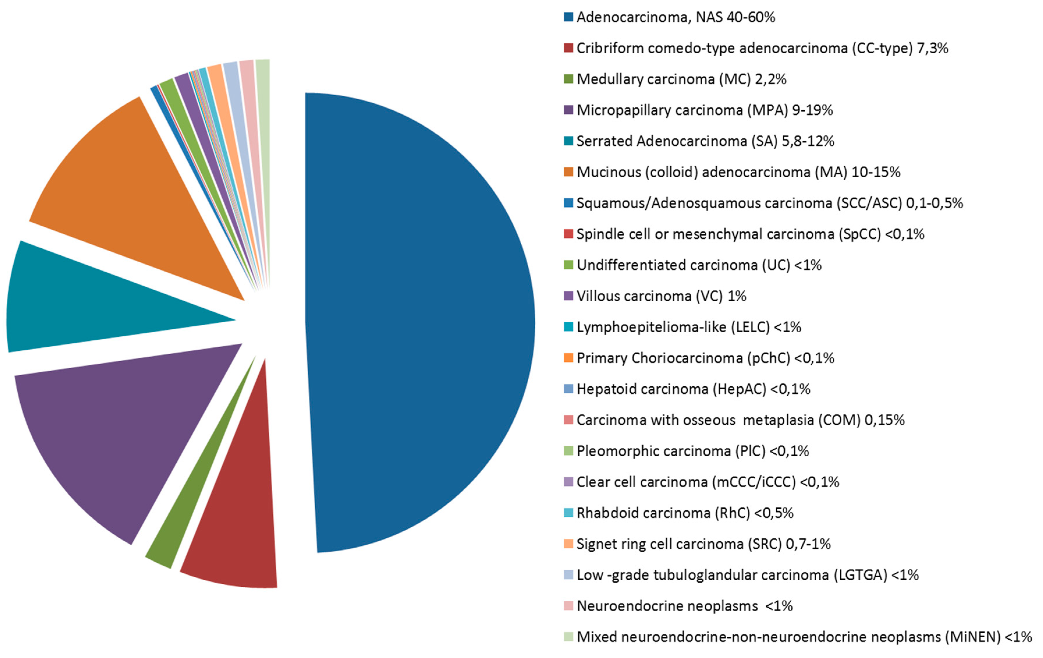 Cancers 11 01036 g001