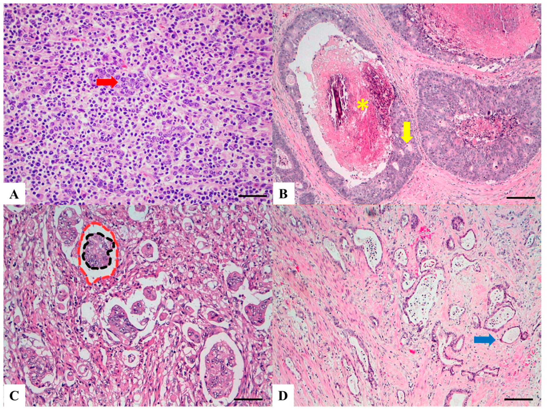 Cancers 11 01036 g003