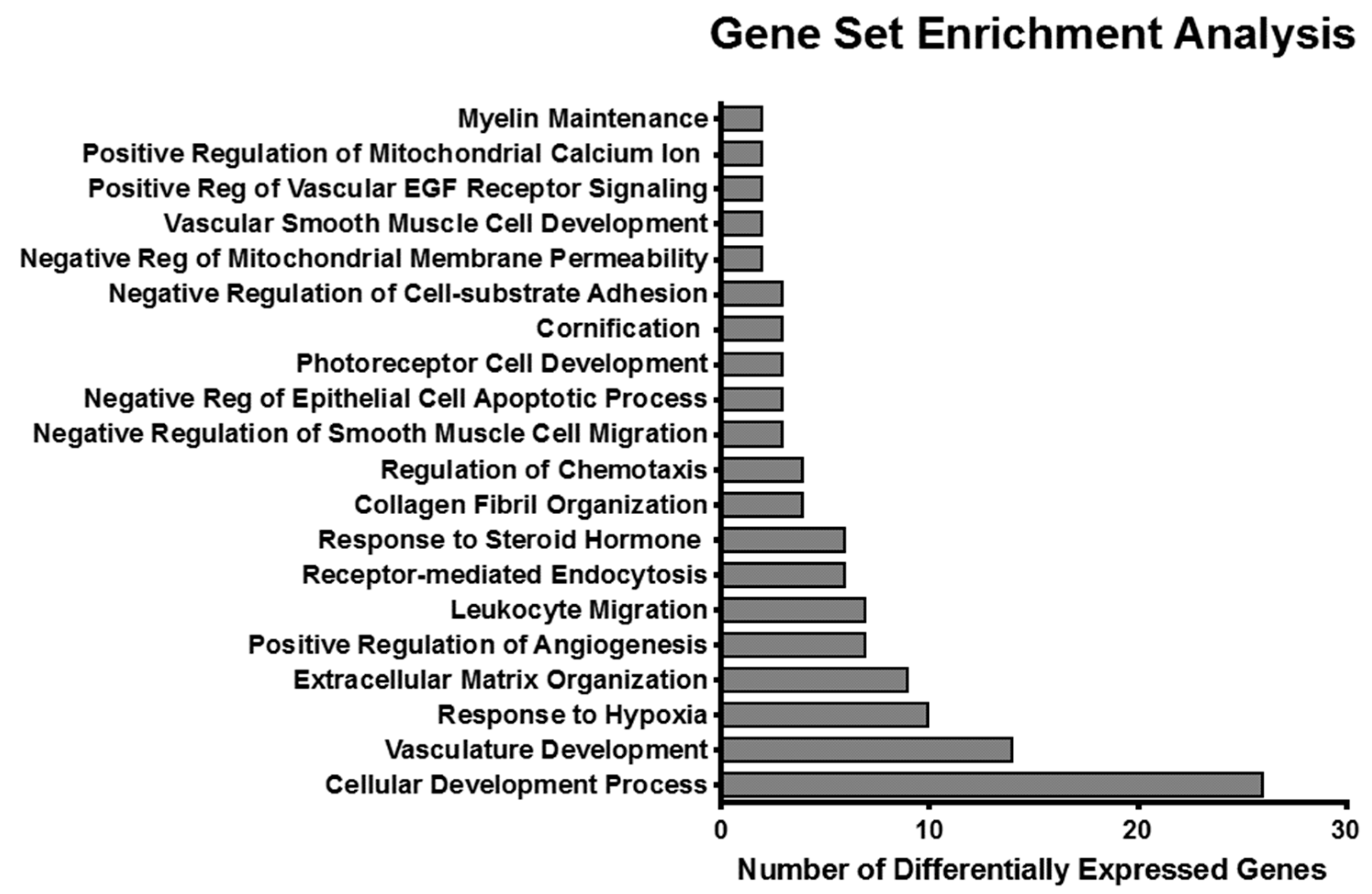 Cancers 11 01049 g003 Cancers 11 01049 g003