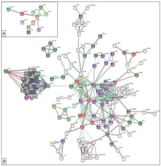 Cancers 11 01052 g001 550