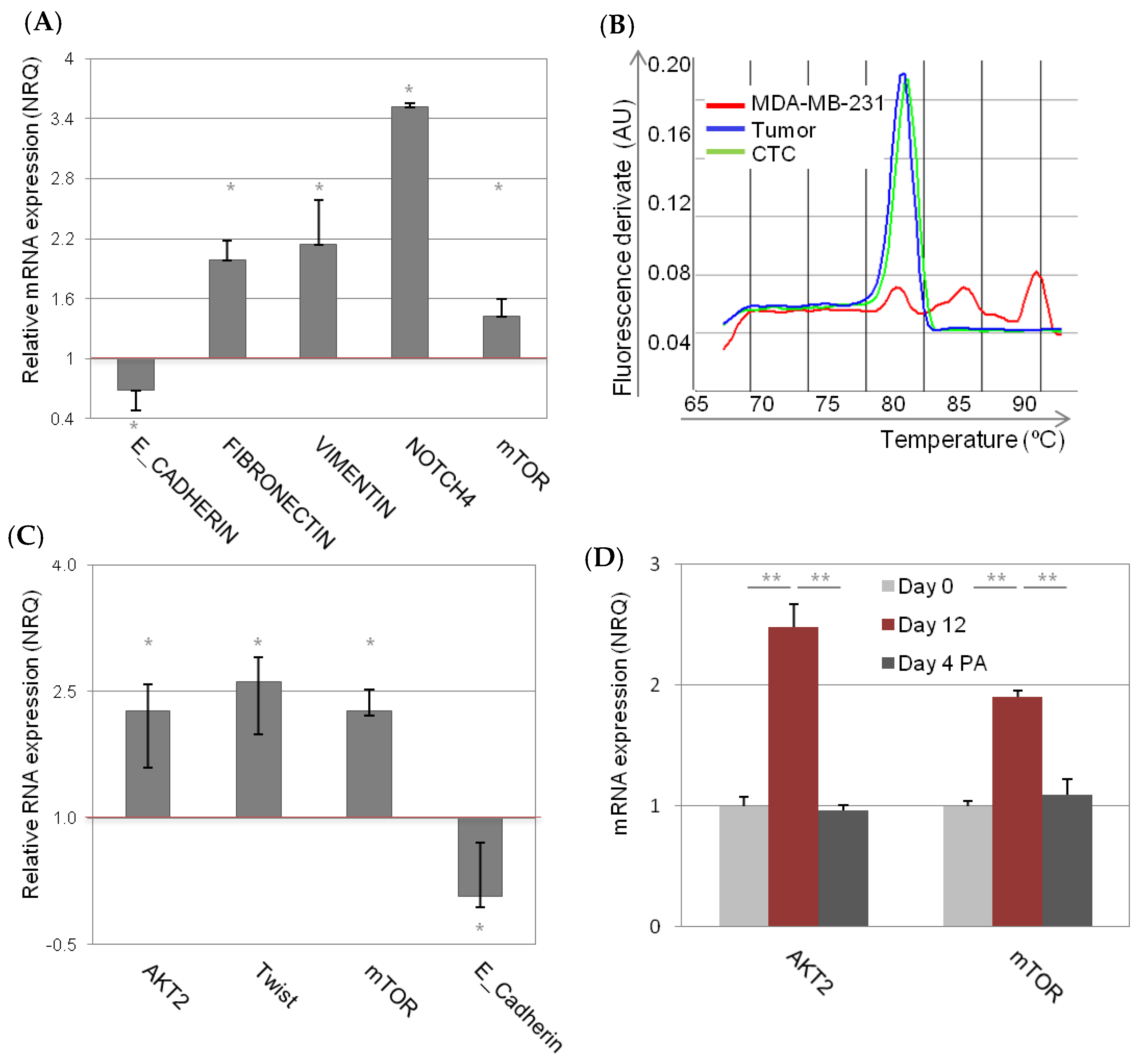 Cancers 11 01058 g005 Cancers 11 01058 g005