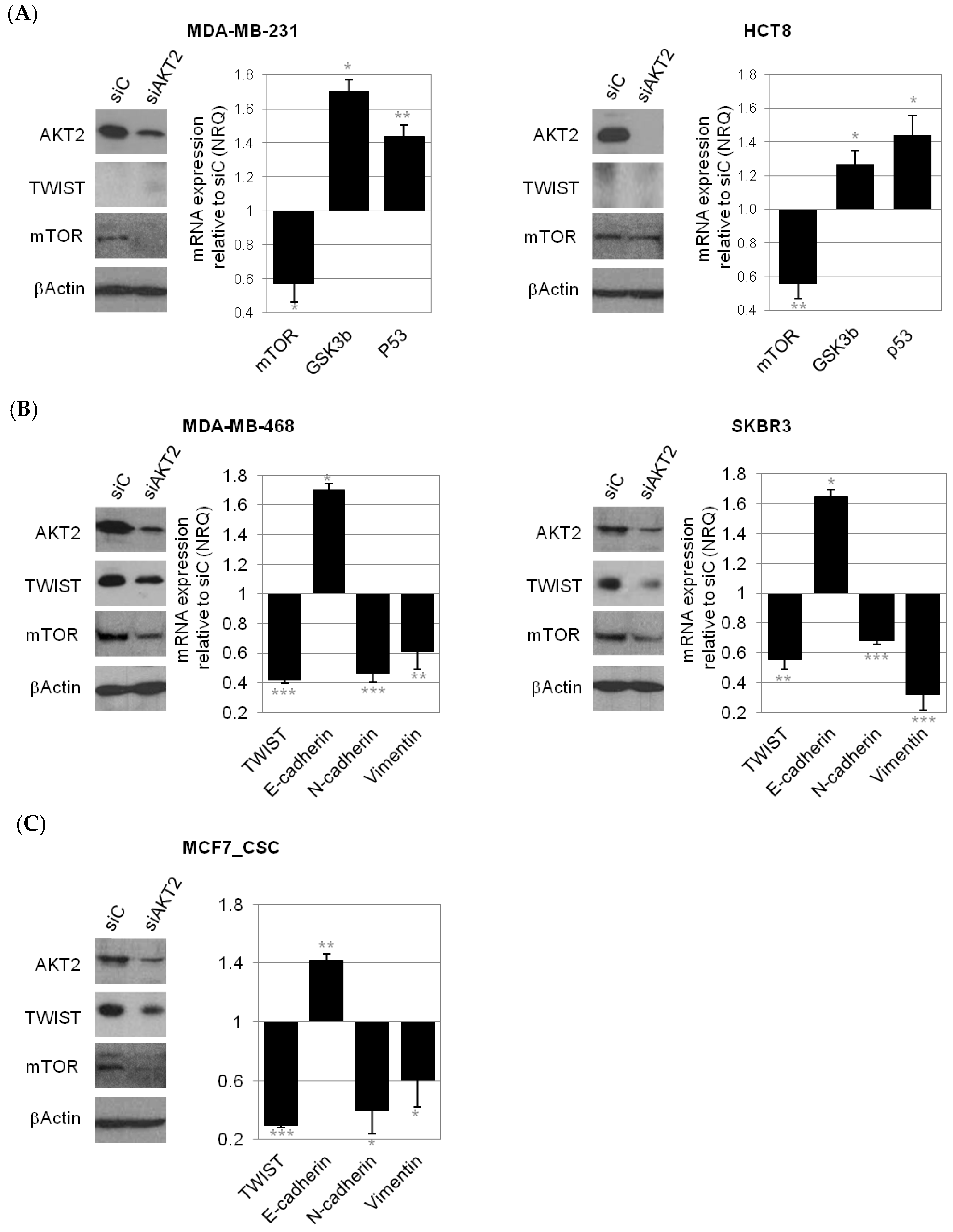 Cancers 11 01058 g007 Cancers 11 01058 g007