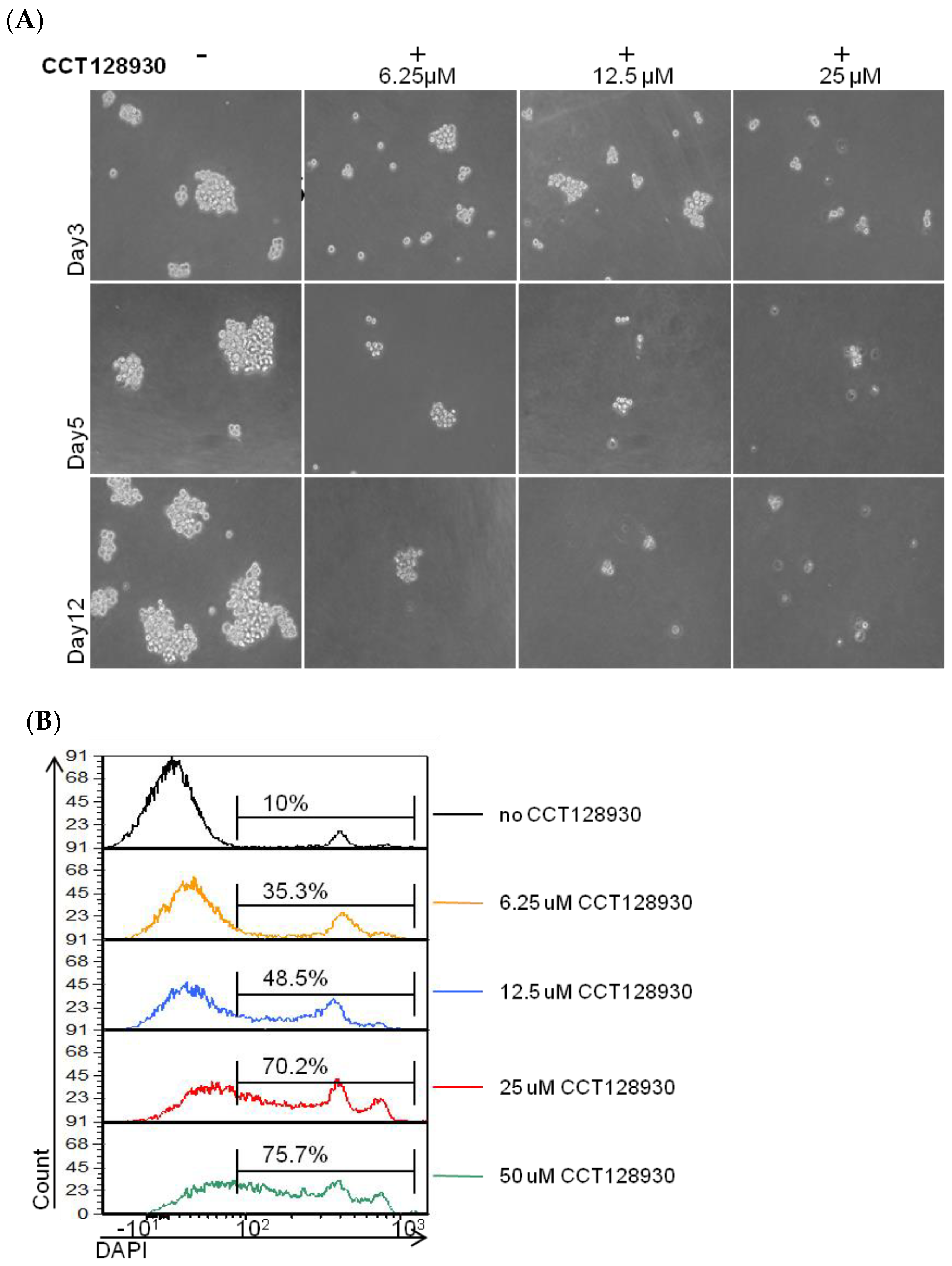 Cancers 11 01058 g008 Cancers 11 01058 g008