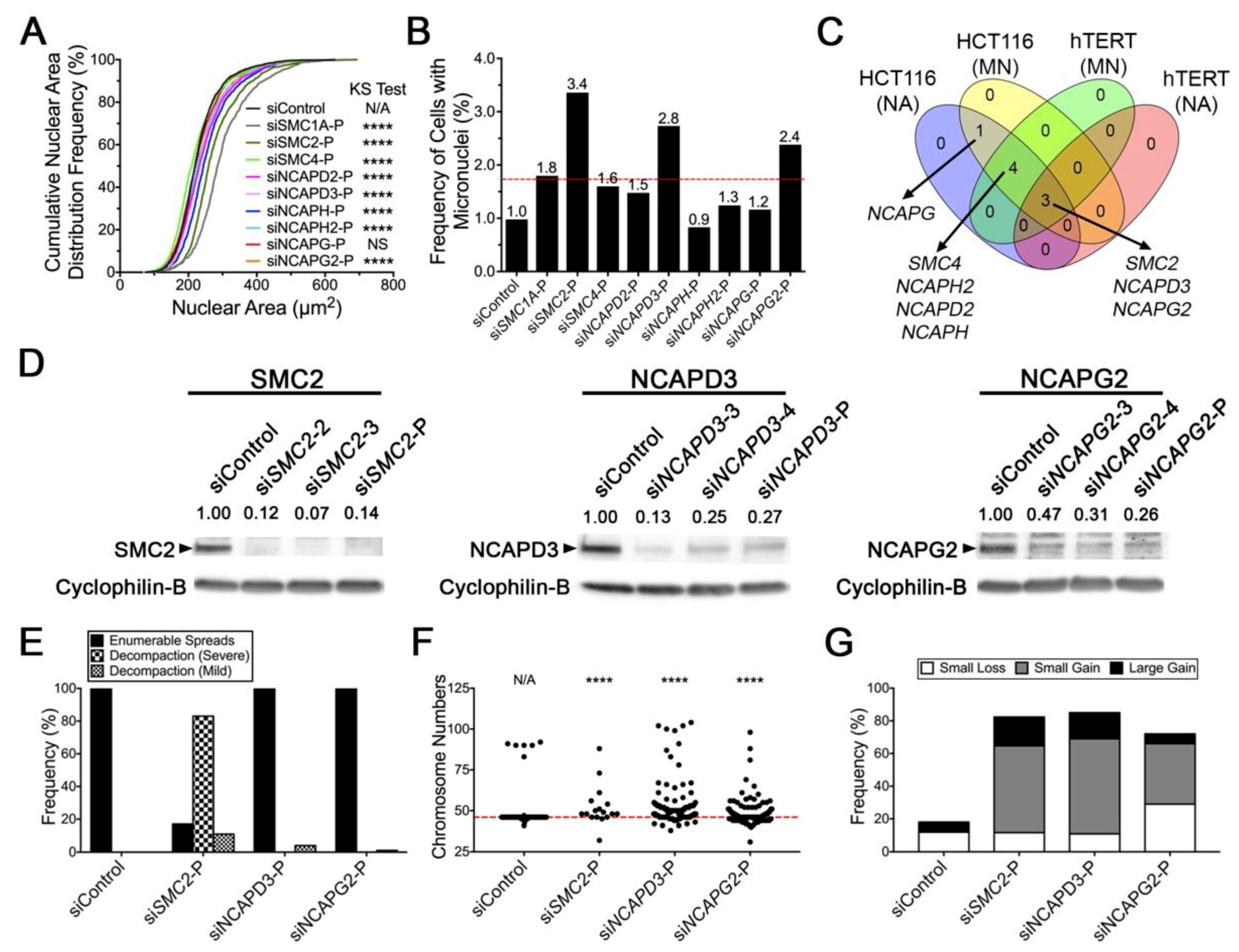 Cancers 11 01066 g005