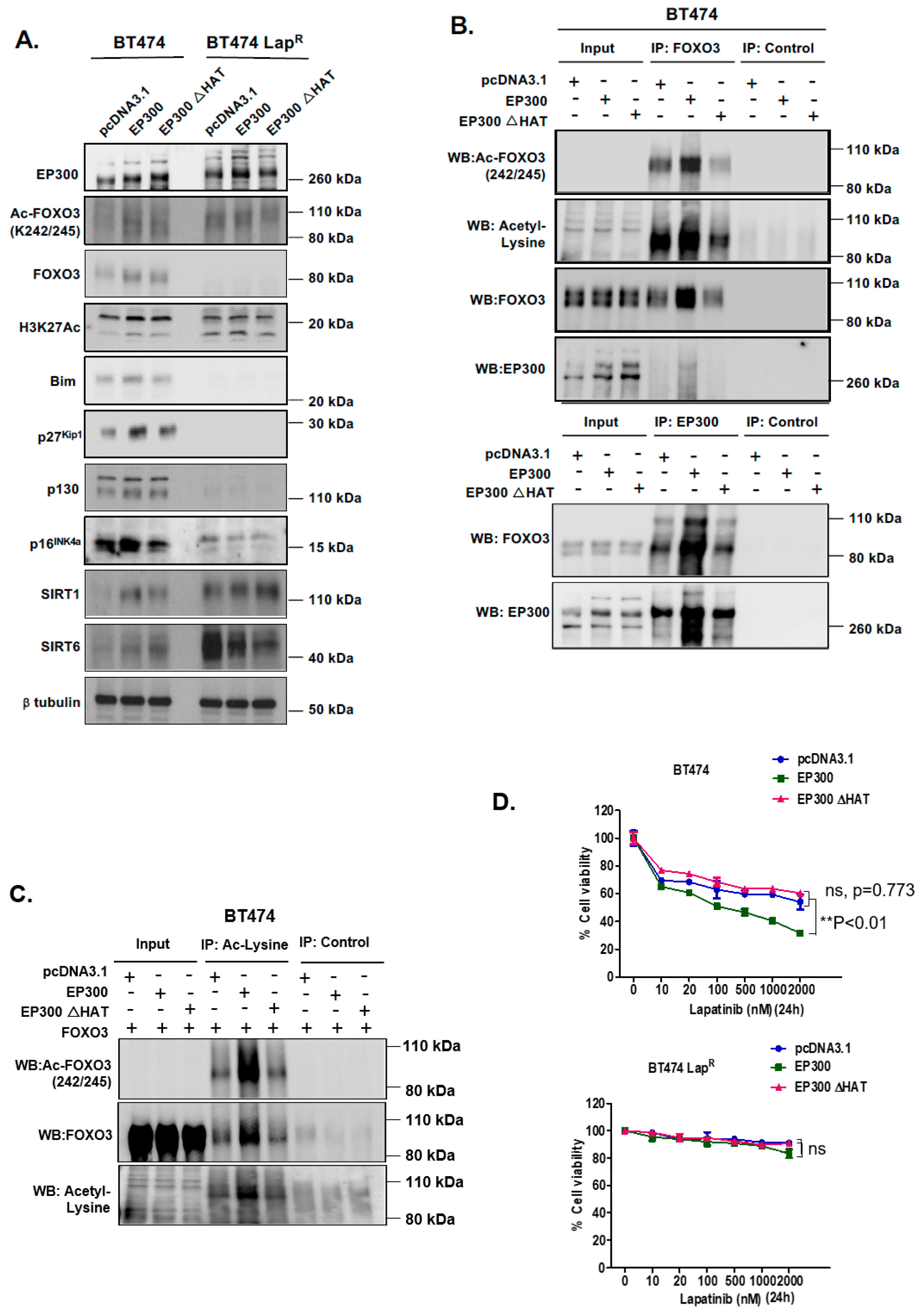 Cancers 11 01067 g004