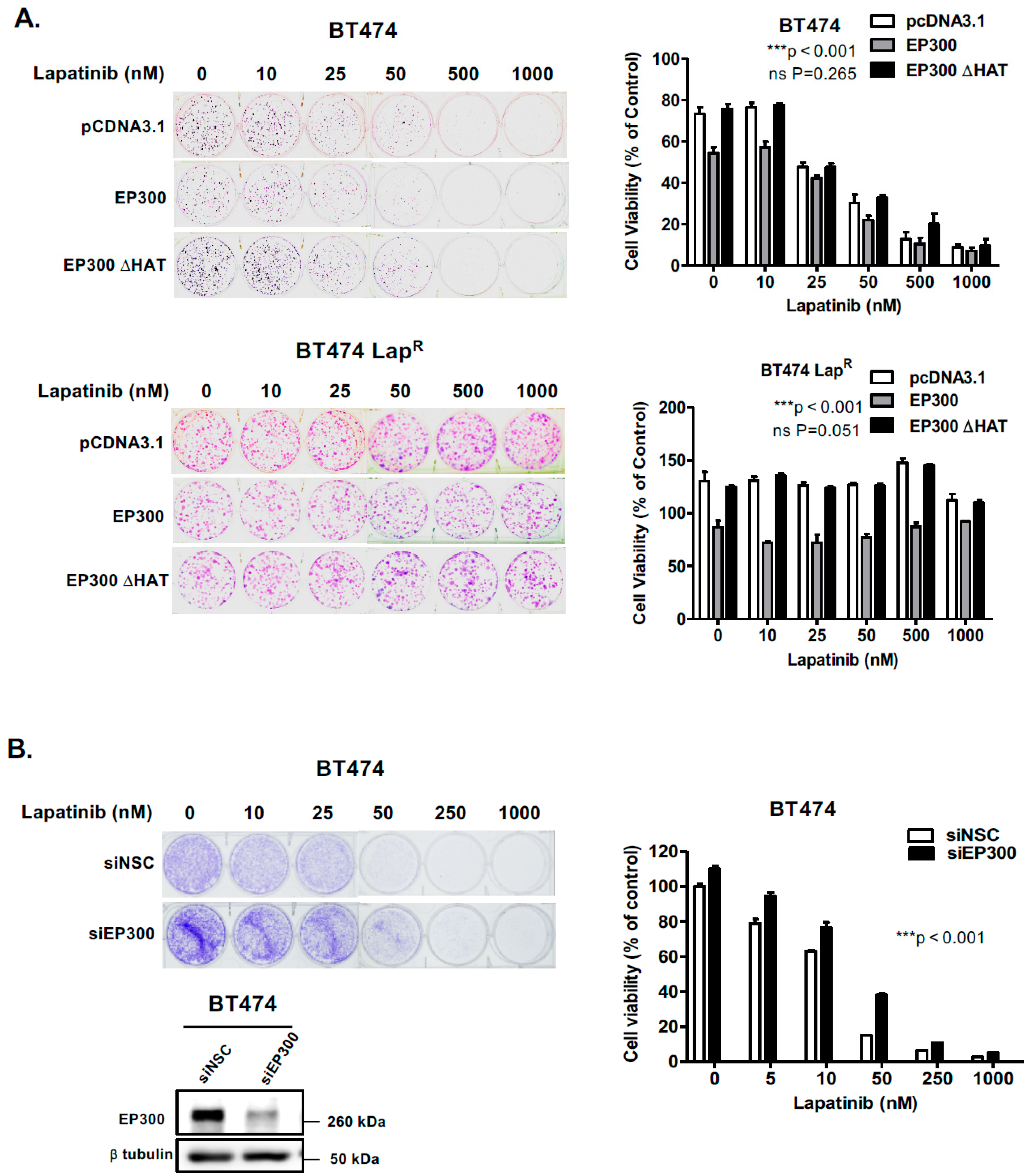 Cancers 11 01067 g005