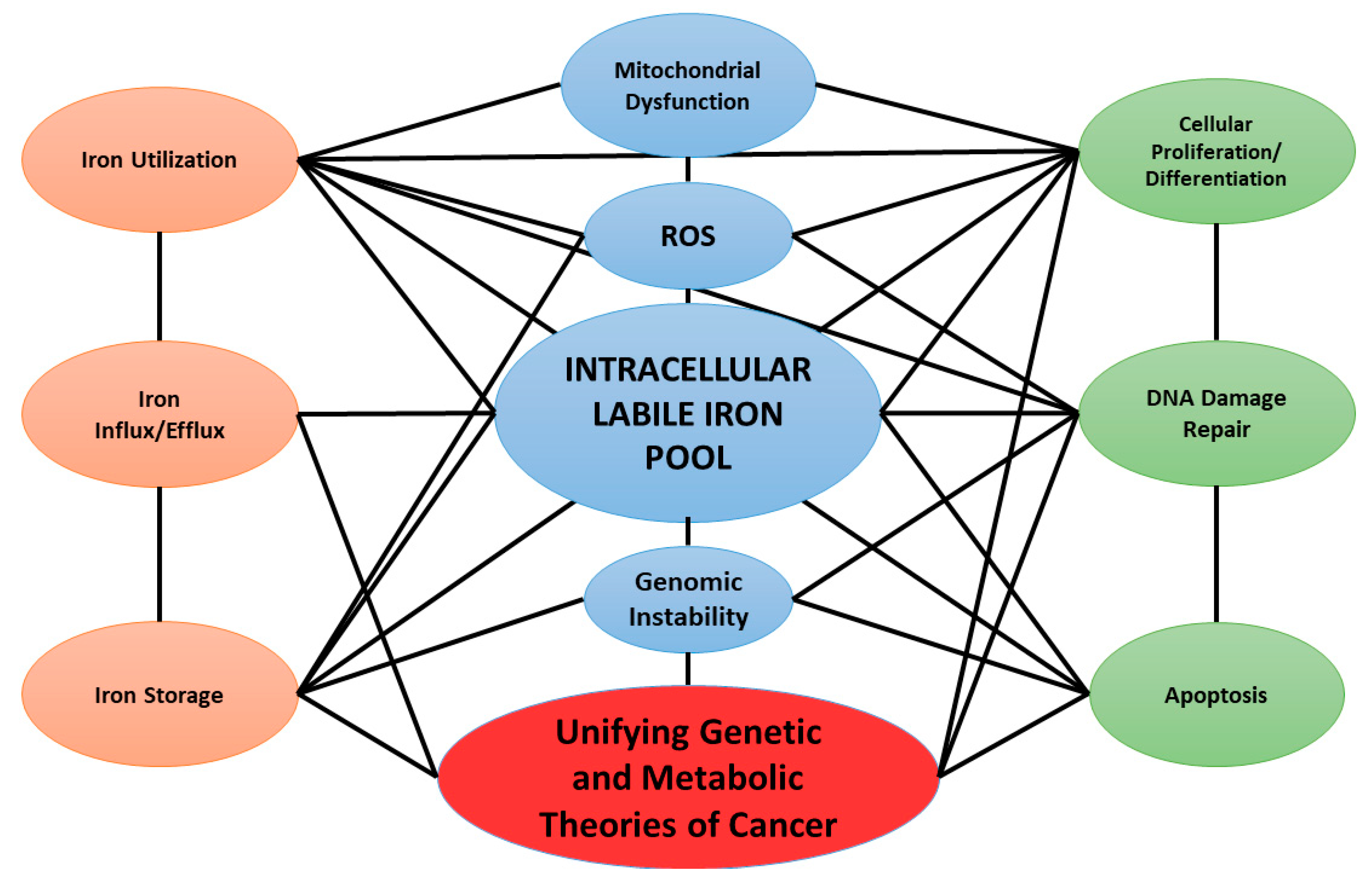 Cancers 11 01077 g001 Cancers 11 01077 g001