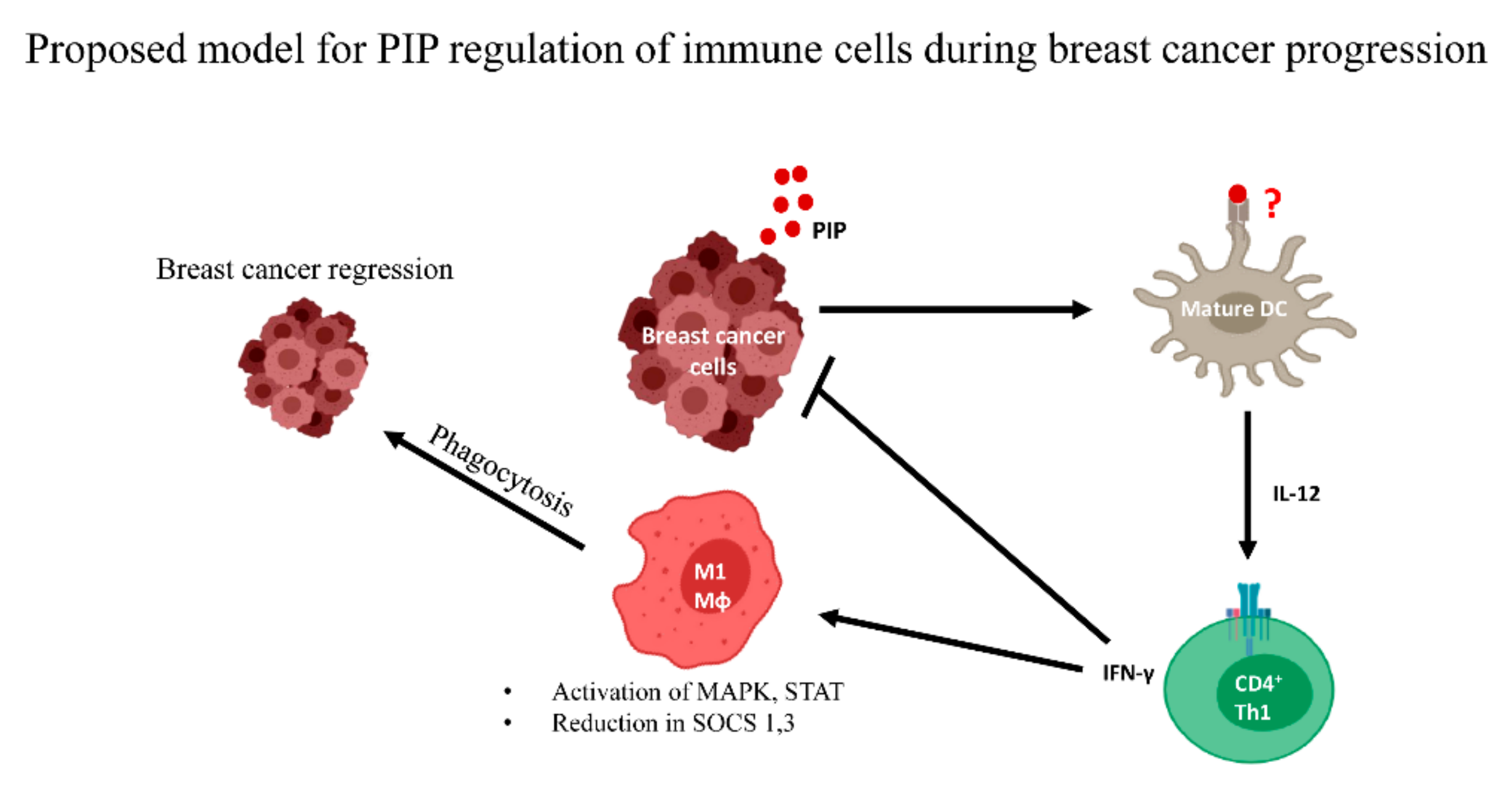 Cancers 11 01080 g002 Cancers 11 01080 g002