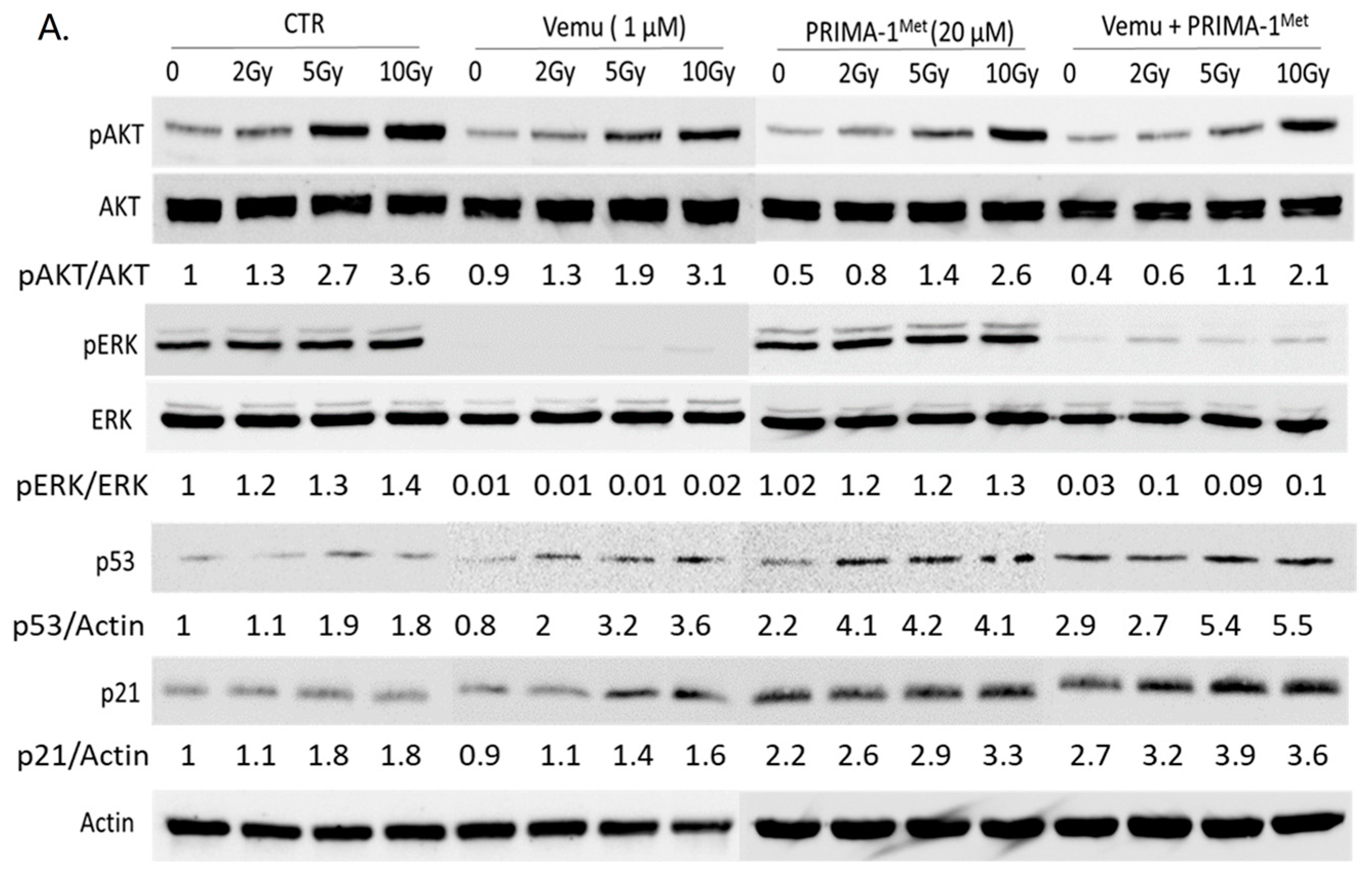 Cancers 11 01093 g002a Cancers 11 01093 g002a