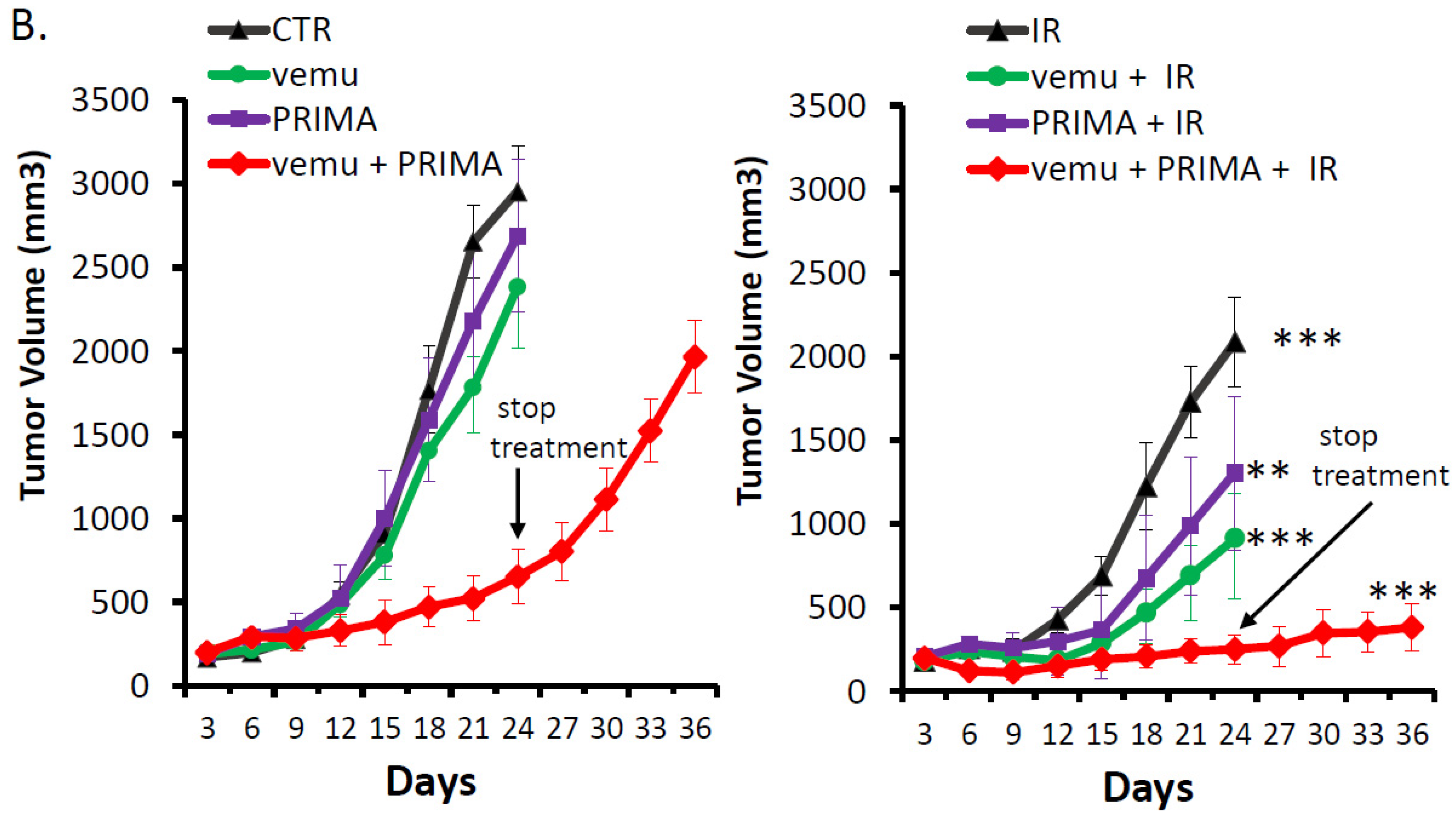 Cancers 11 01093 g003b Cancers 11 01093 g003b