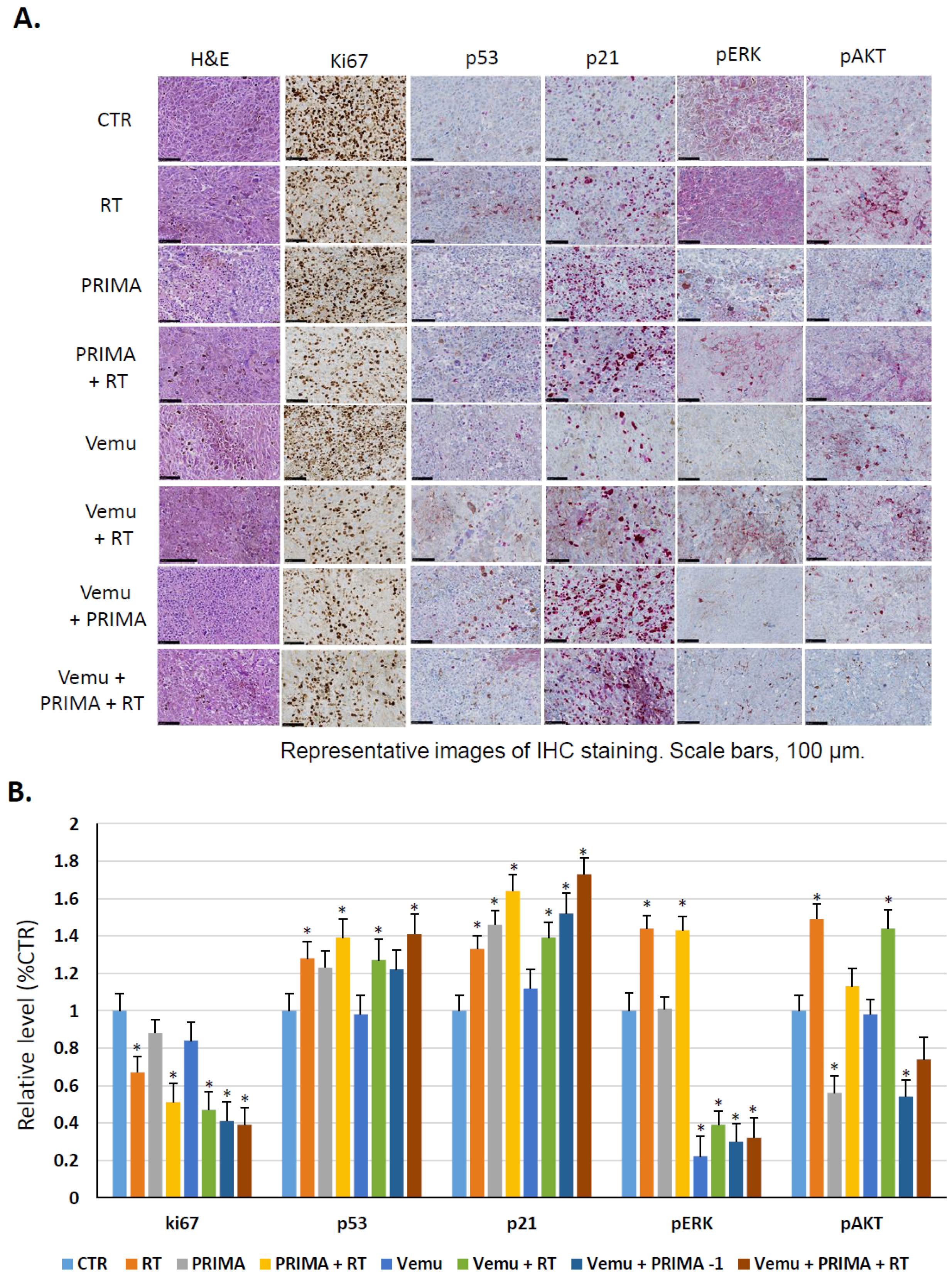 Cancers 11 01093 g004 Cancers 11 01093 g004