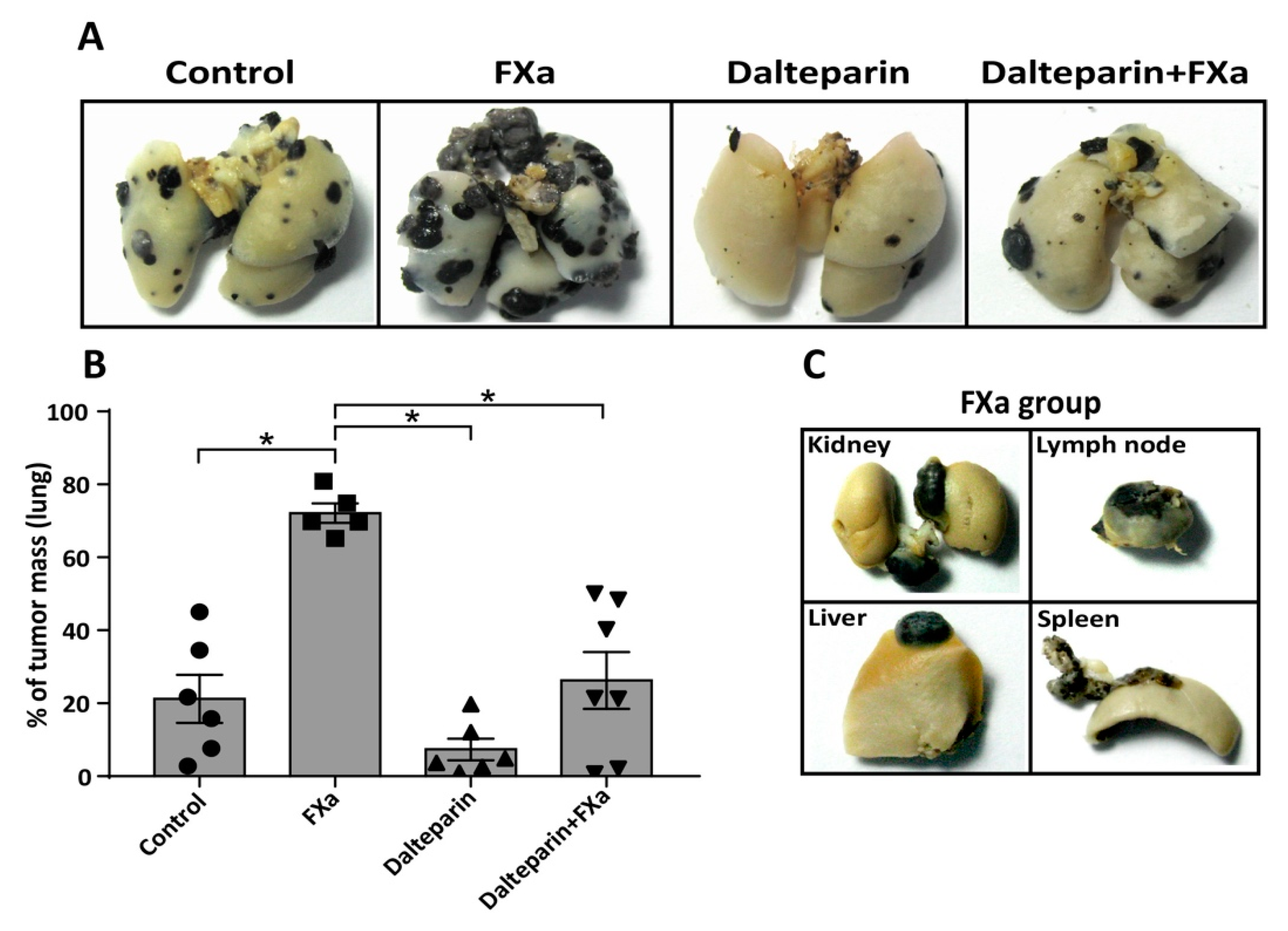 Cancers 11 01103 g002 Cancers 11 01103 g002
