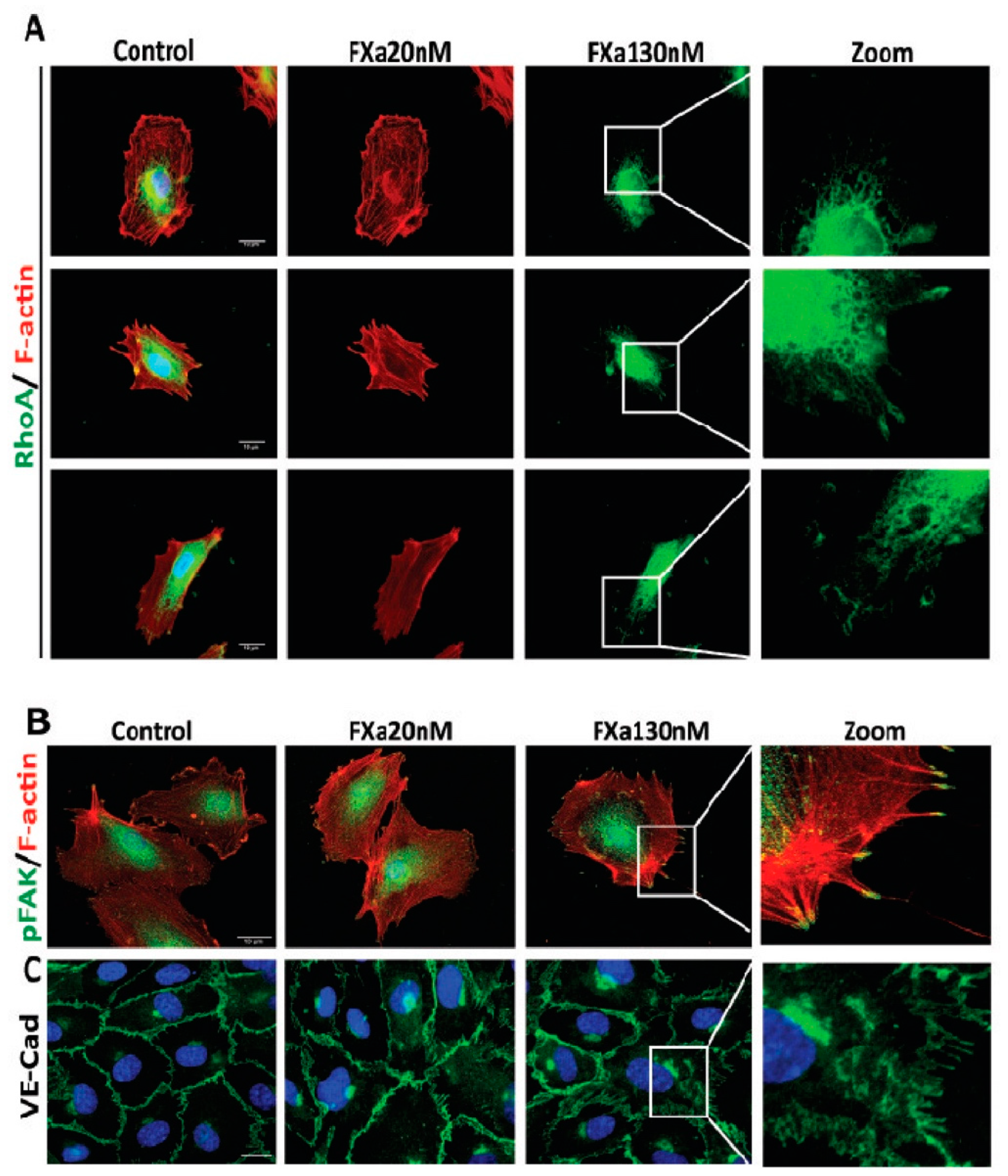 Cancers 11 01103 g004 Cancers 11 01103 g004
