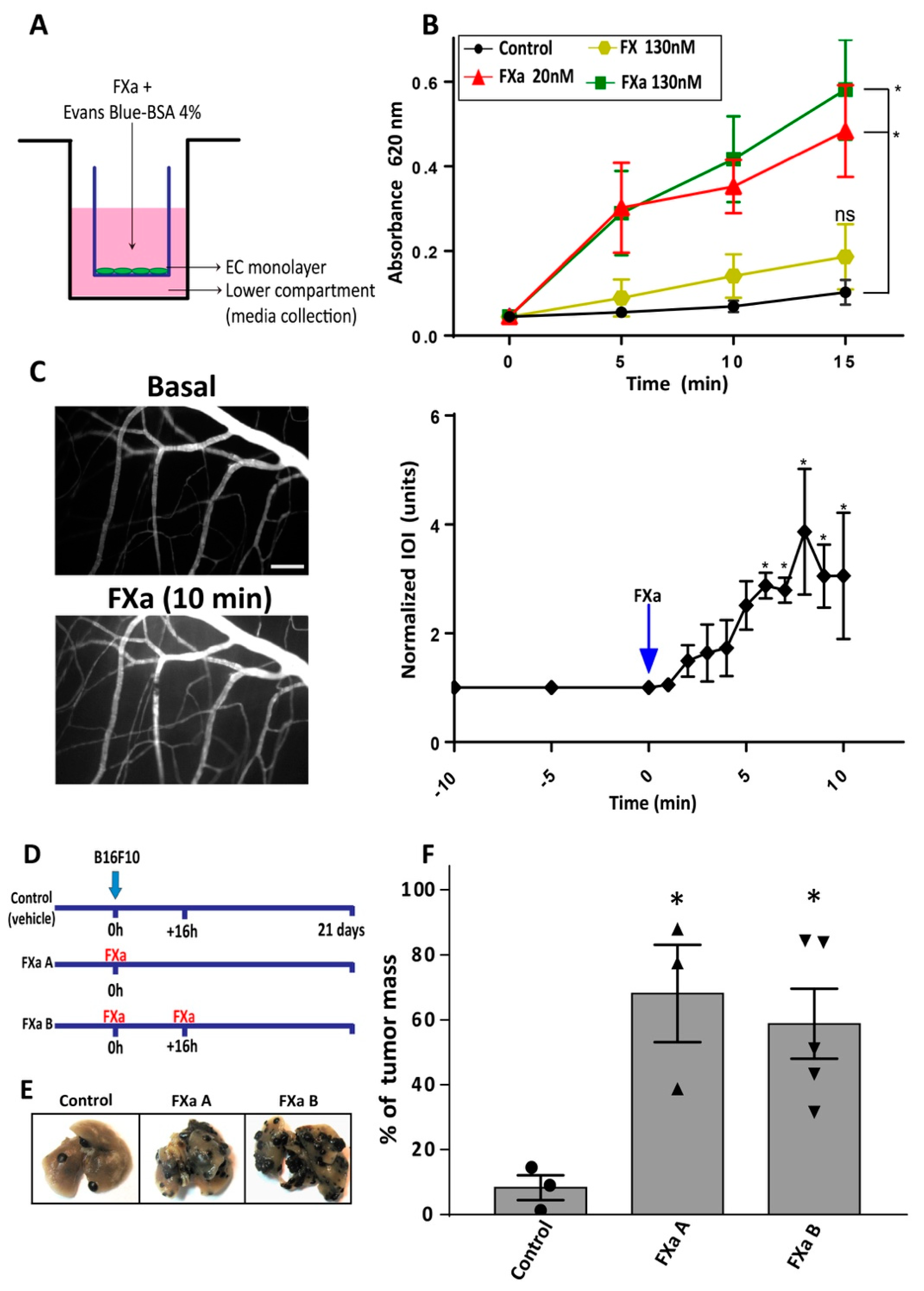Cancers 11 01103 g005 Cancers 11 01103 g005