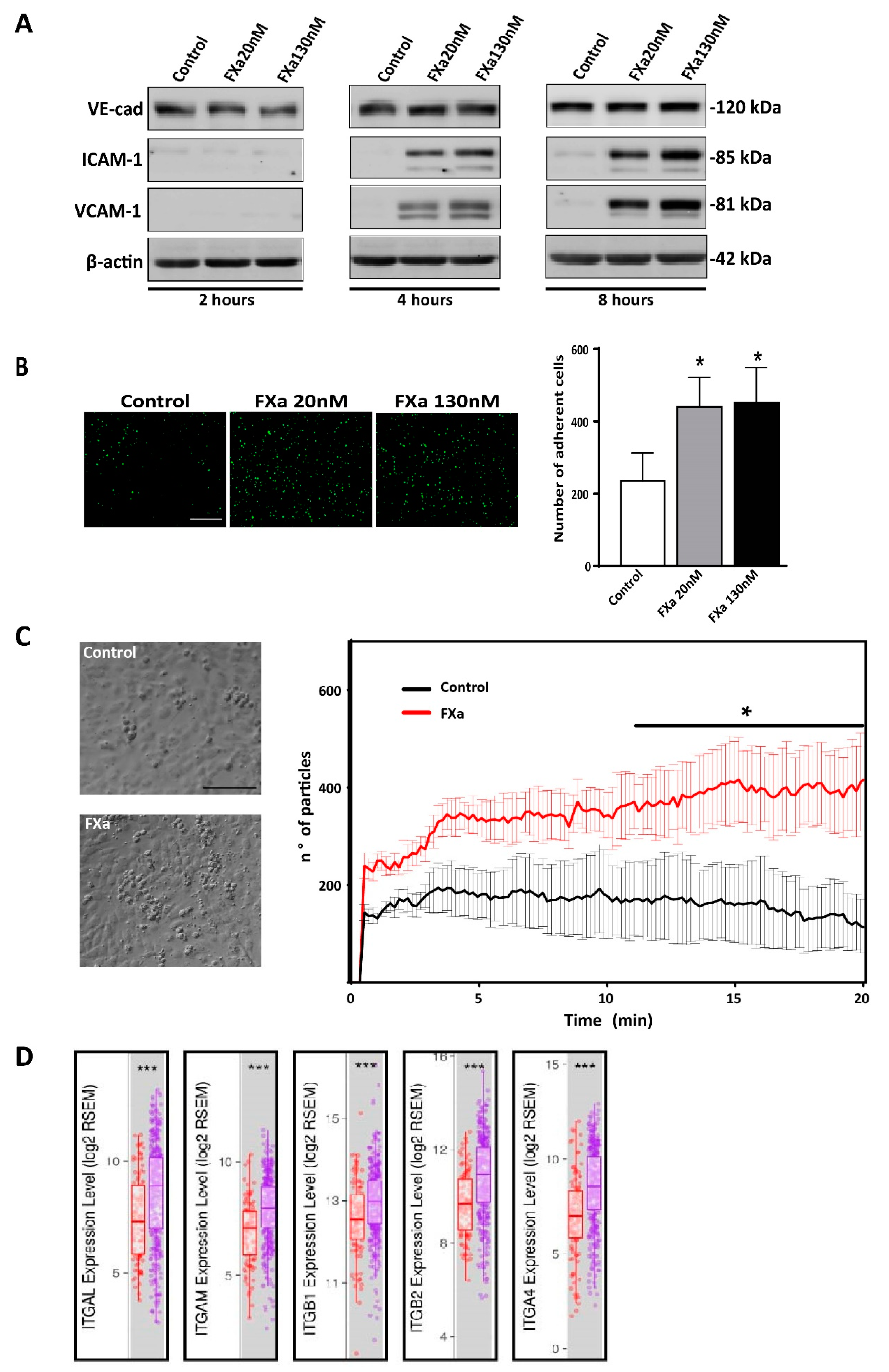 Cancers 11 01103 g007 Cancers 11 01103 g007