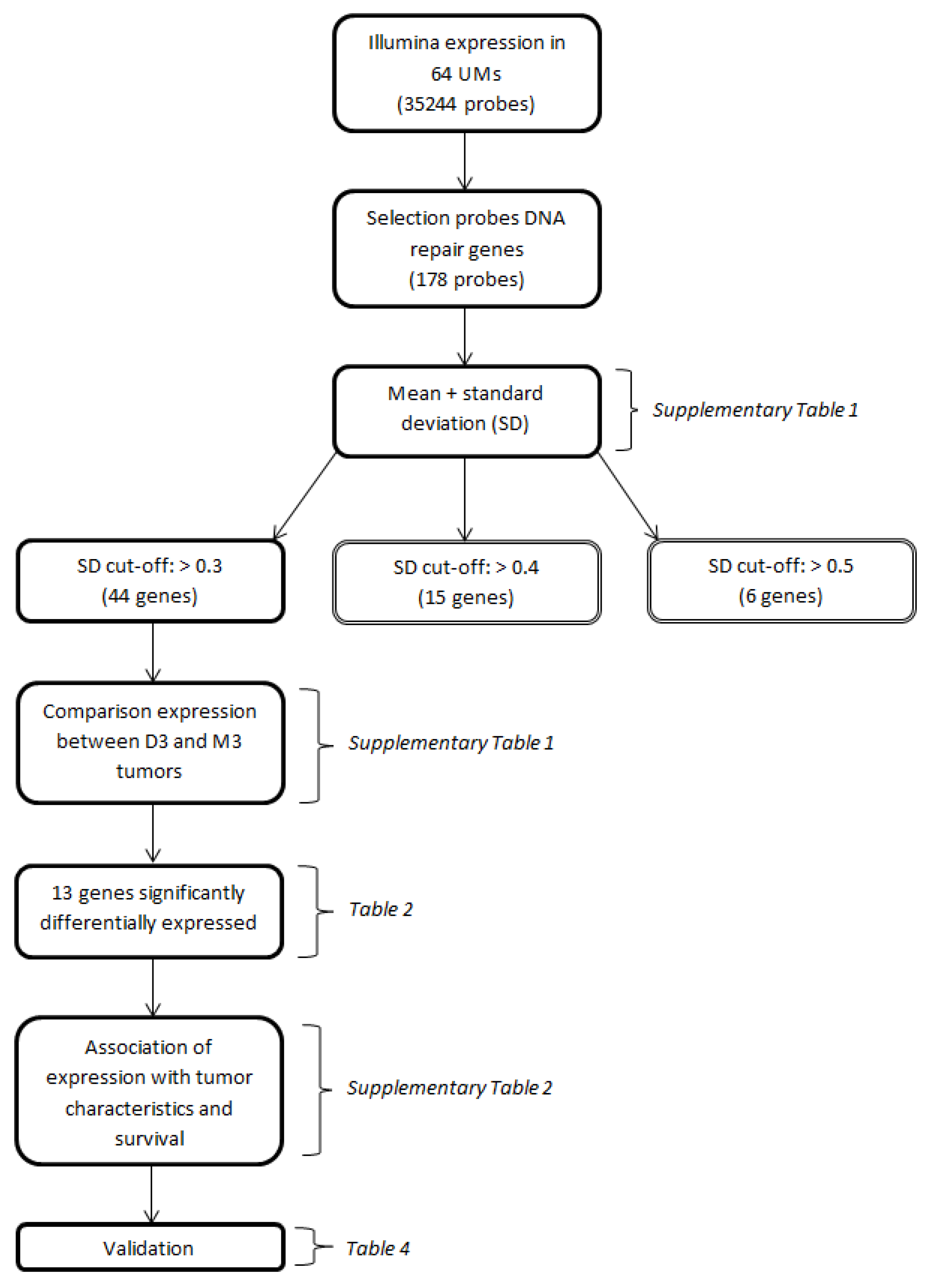 Gene Expression Chart