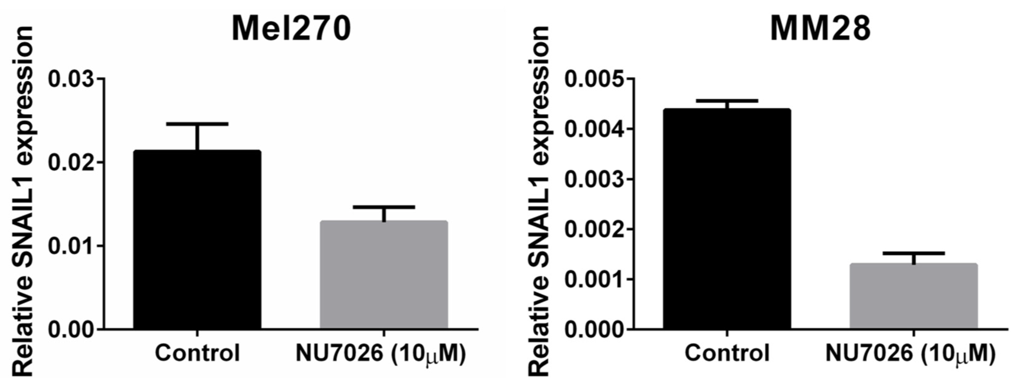 Cancers 11 01104 g005 Cancers 11 01104 g005