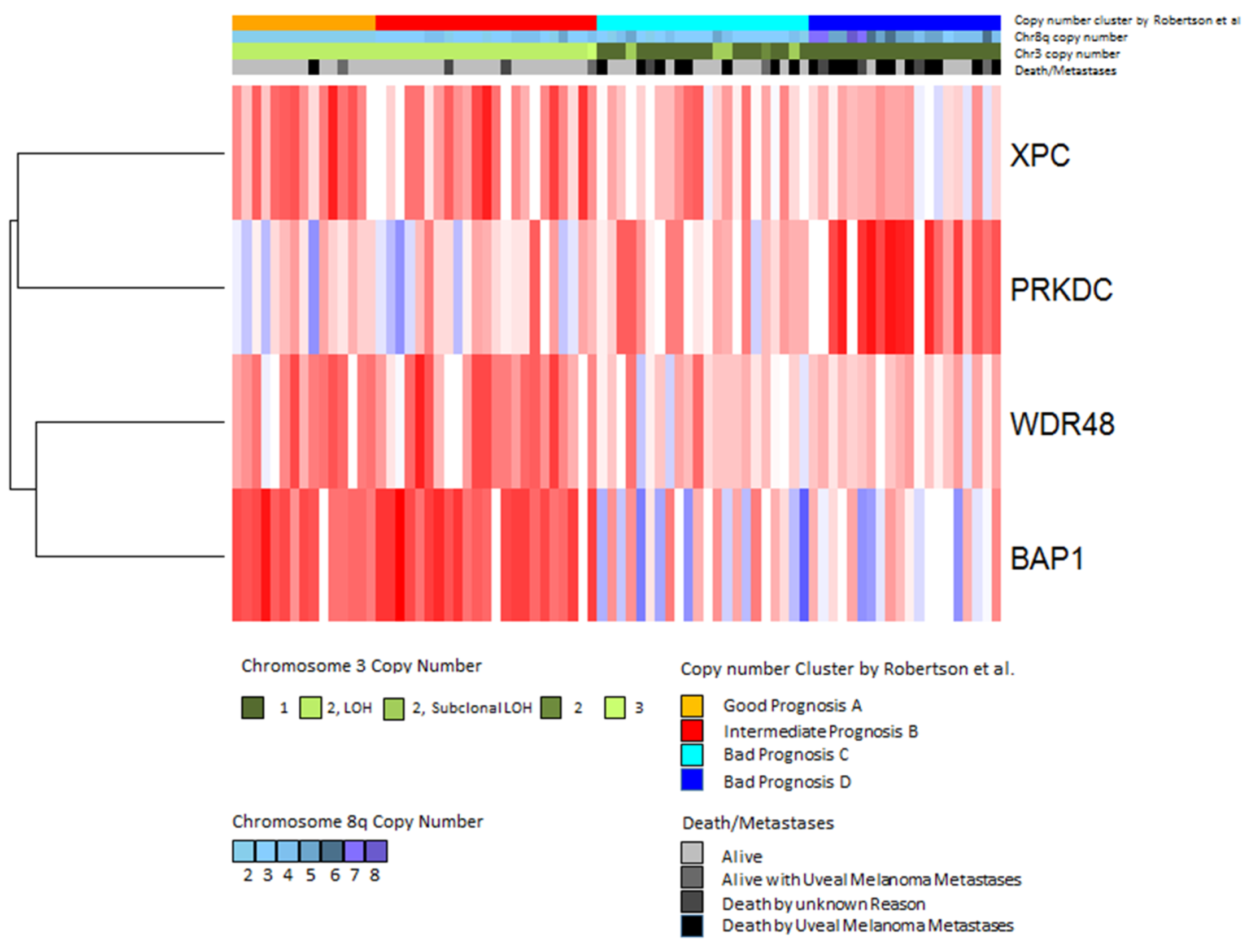 Cancers 11 01104 g007 Cancers 11 01104 g007
