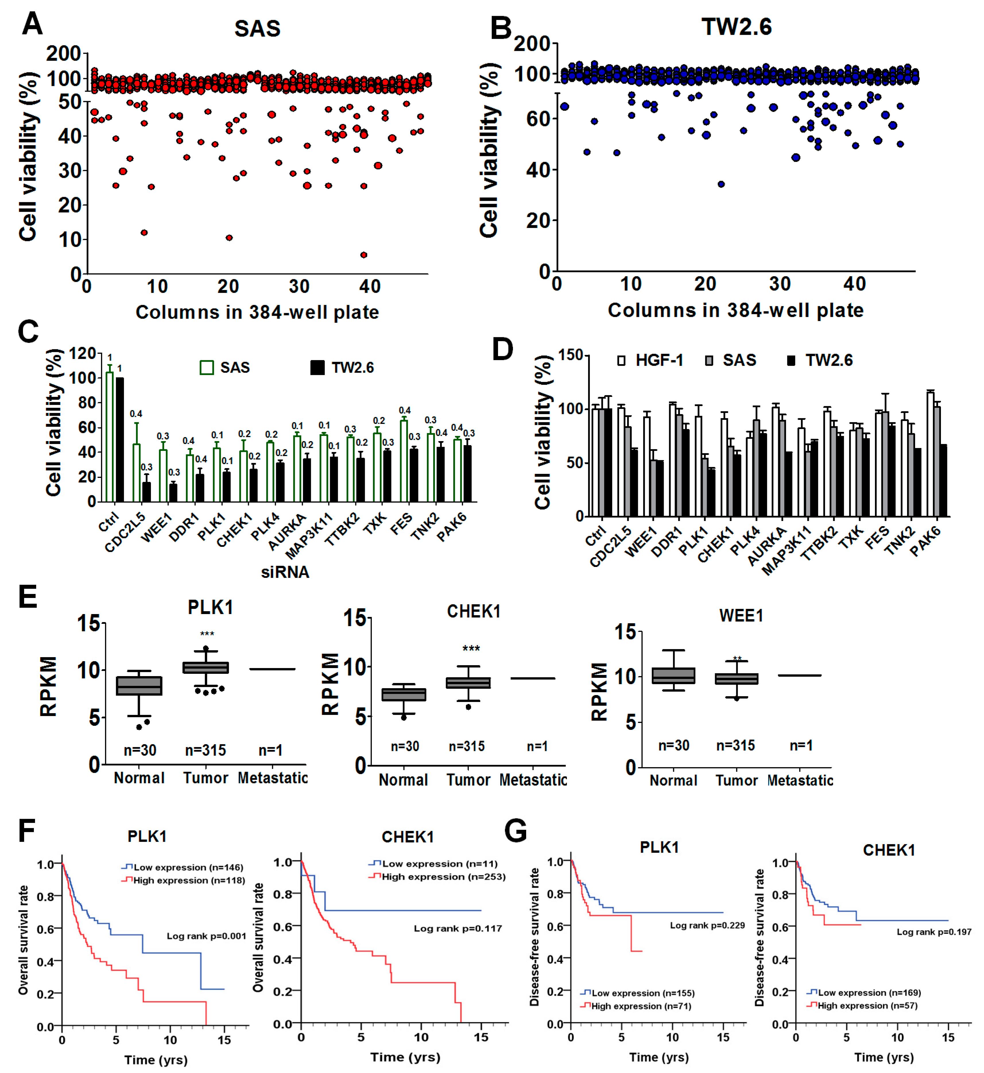 Cancers 11 01117 g001 Cancers 11 01117 g001