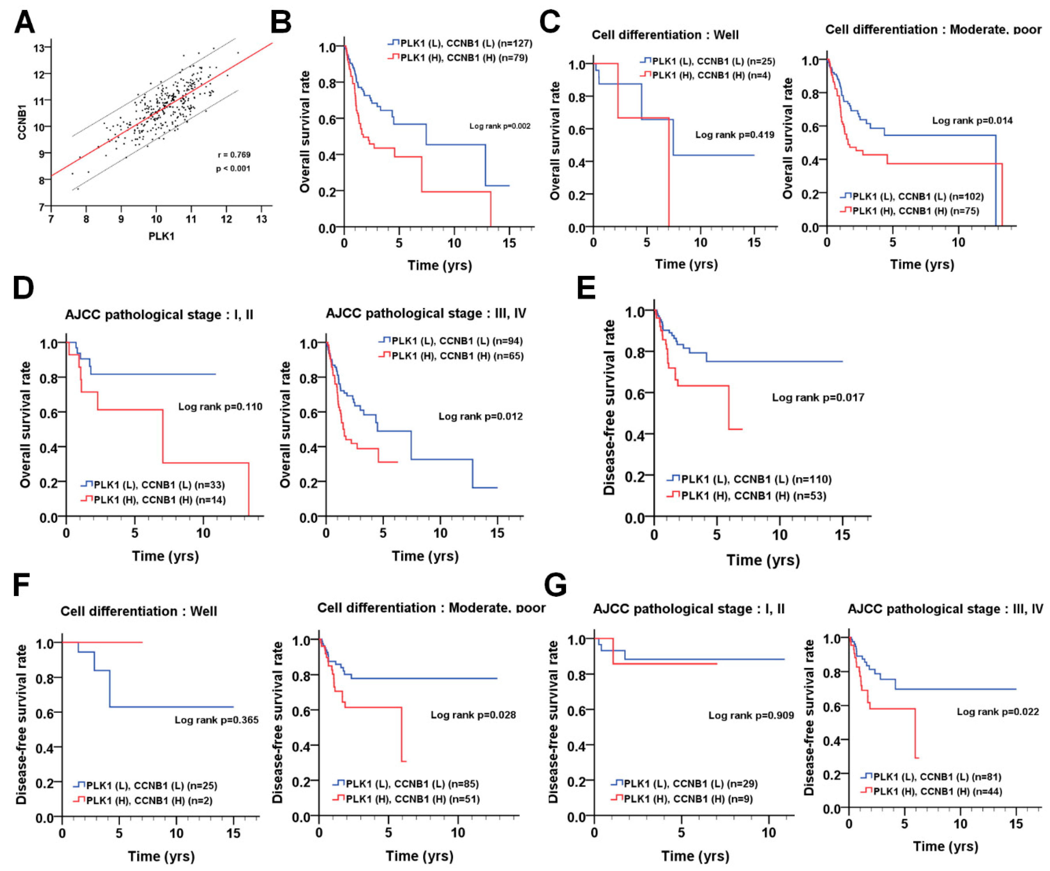 Cancers 11 01117 g006 Cancers 11 01117 g006