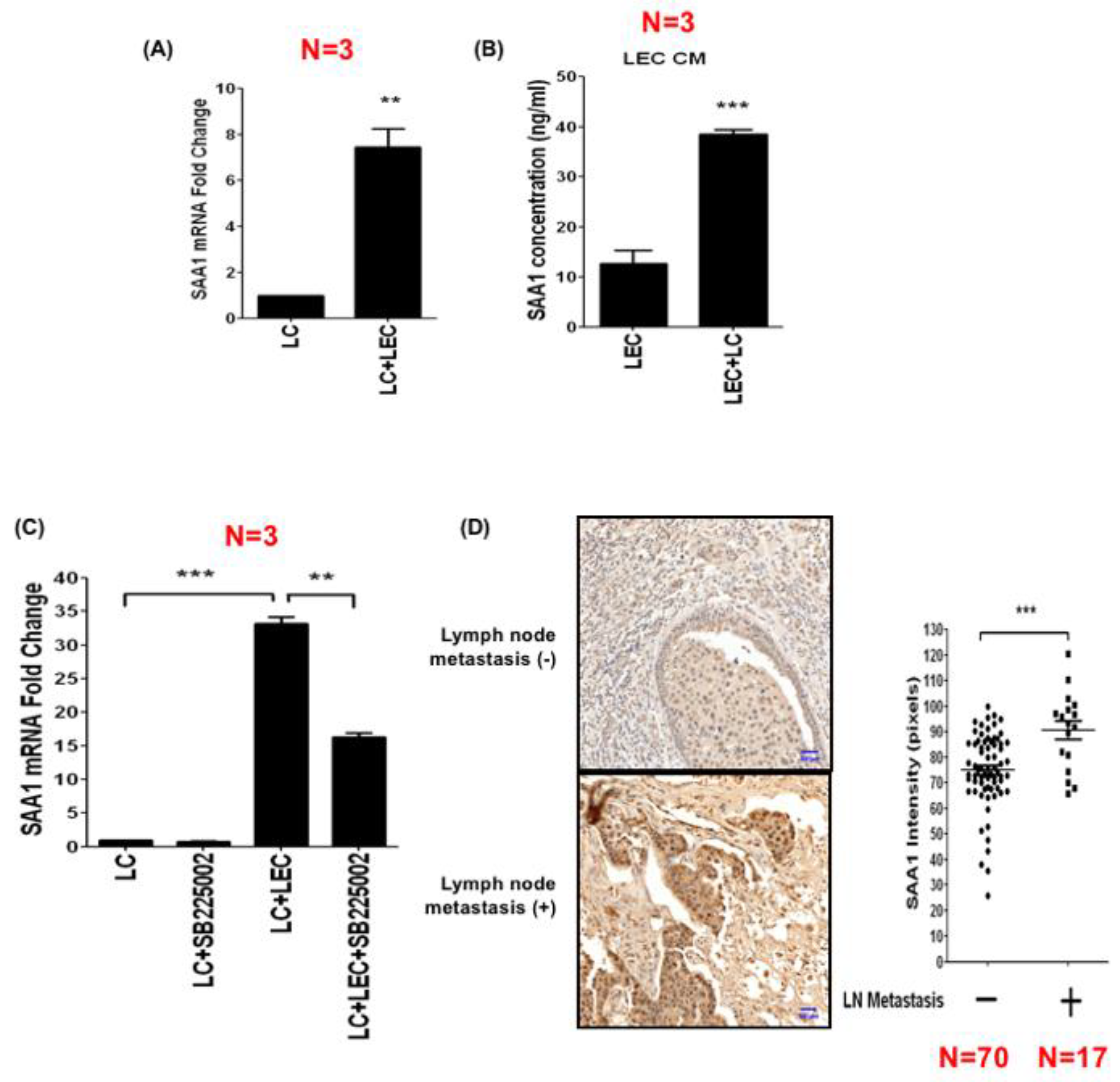 Cancers 11 01120 g005