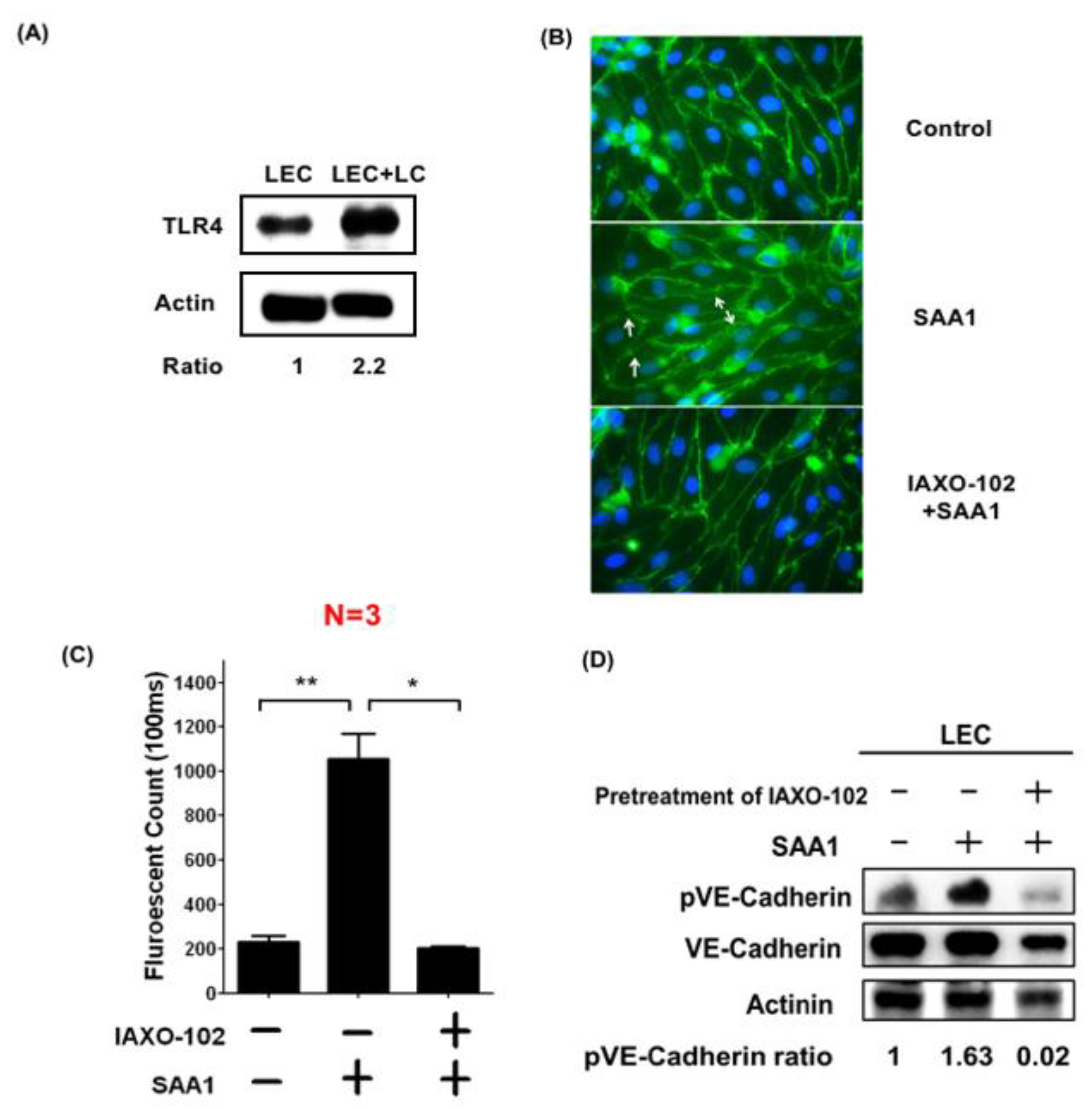 Cancers 11 01120 g006