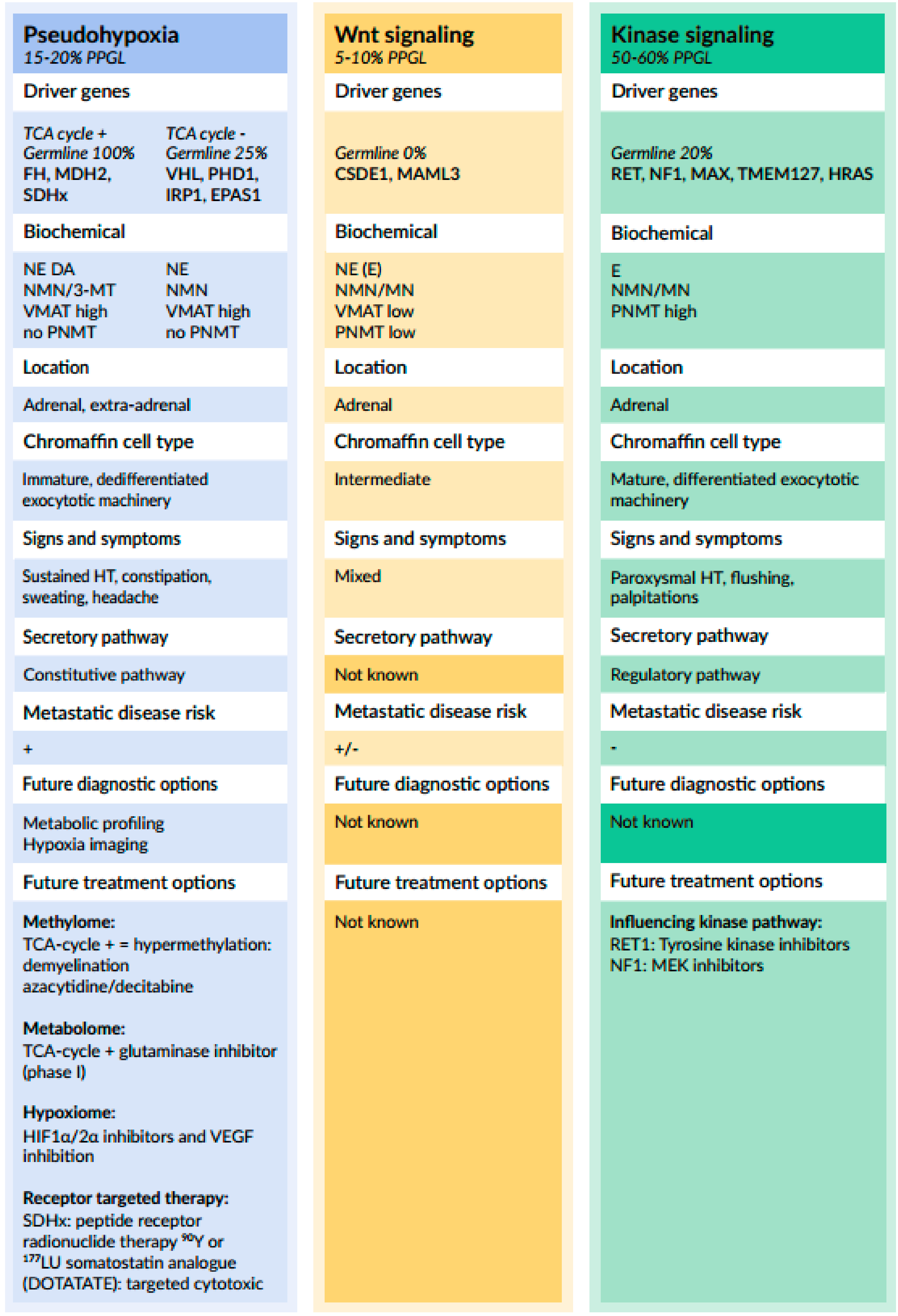 Cancers 11 01121 g003 Cancers 11 01121 g003