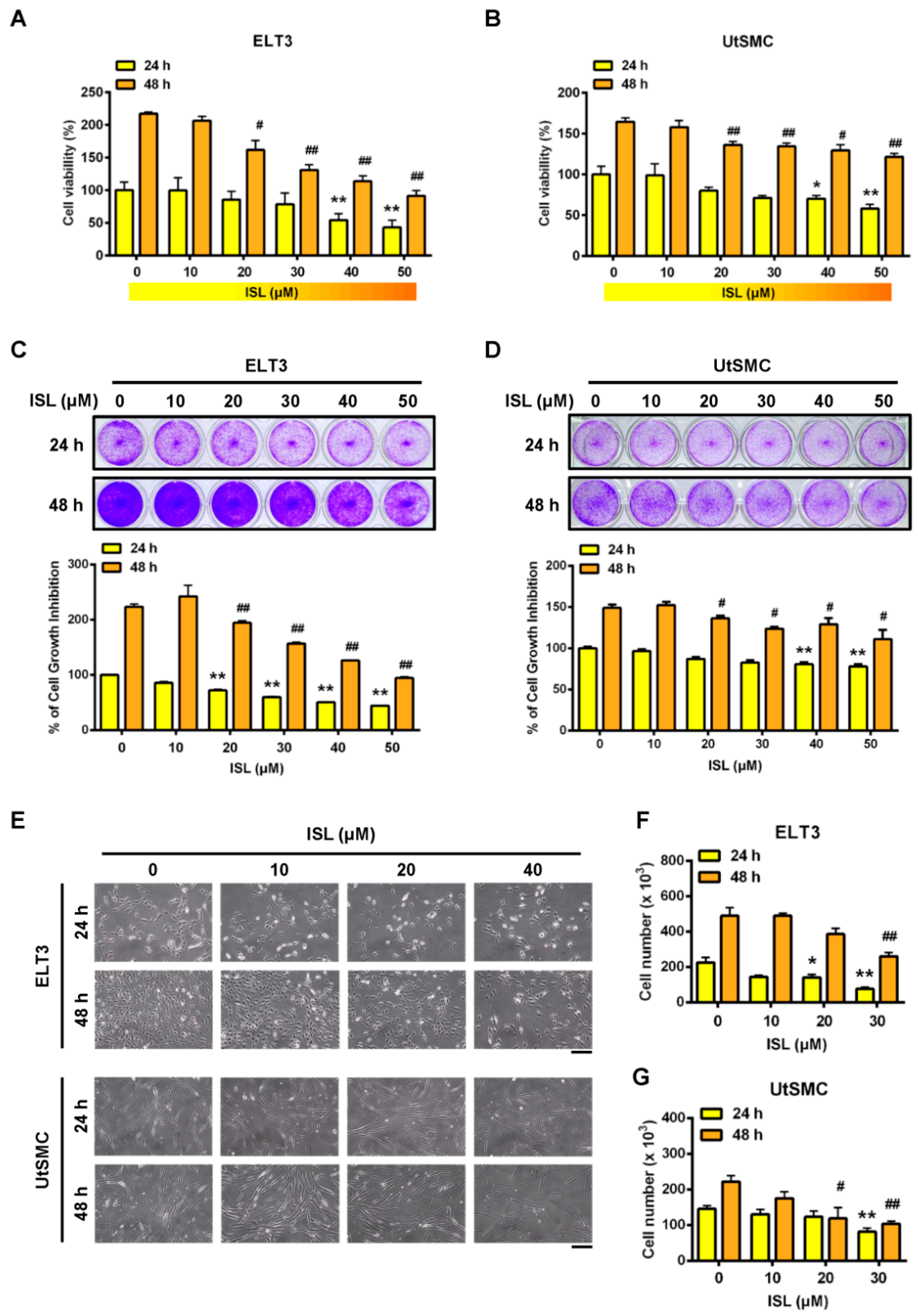 Cancers 11 01131 g001 Cancers 11 01131 g001