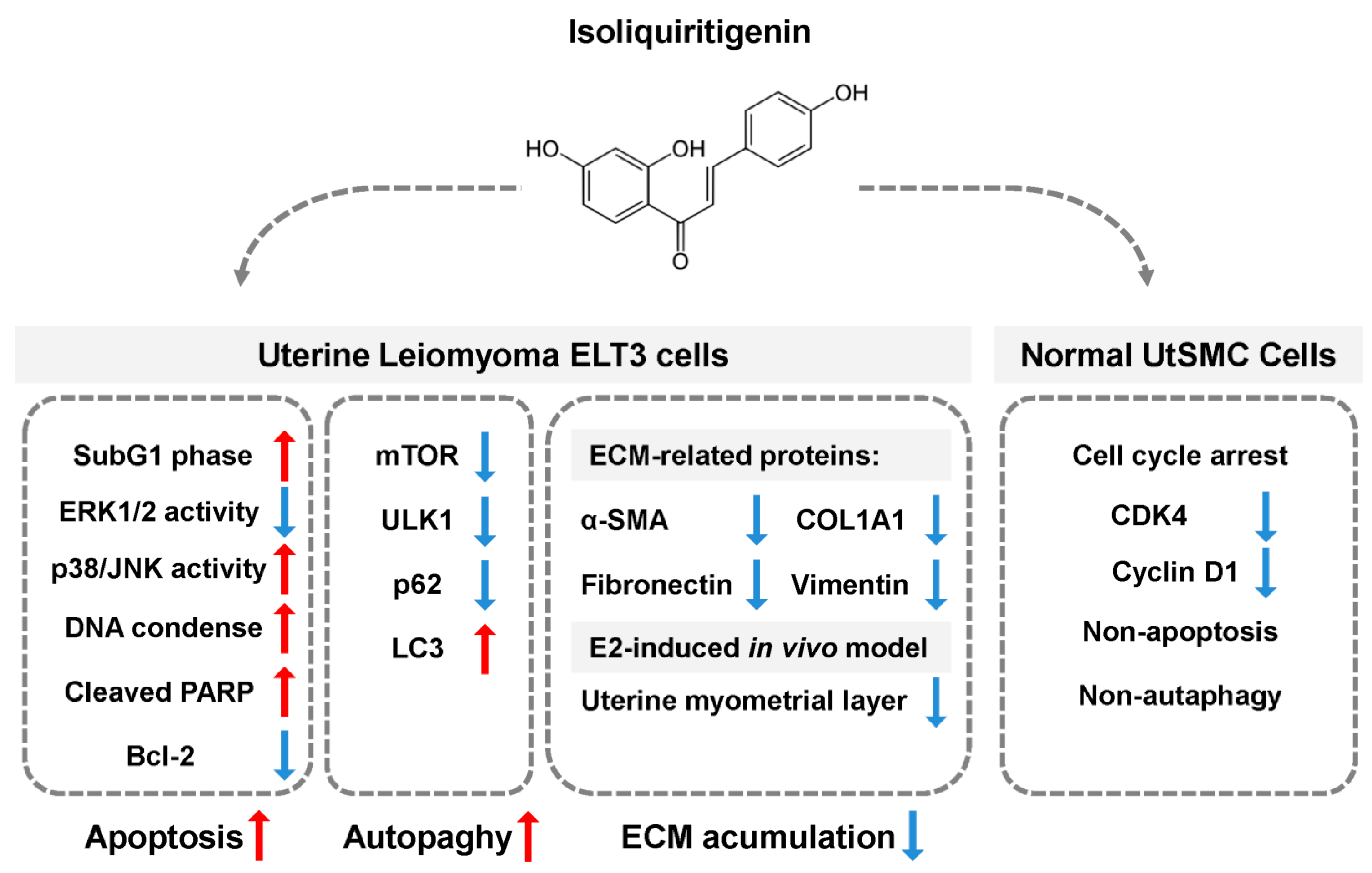 Cancers 11 01131 g009 Cancers 11 01131 g009
