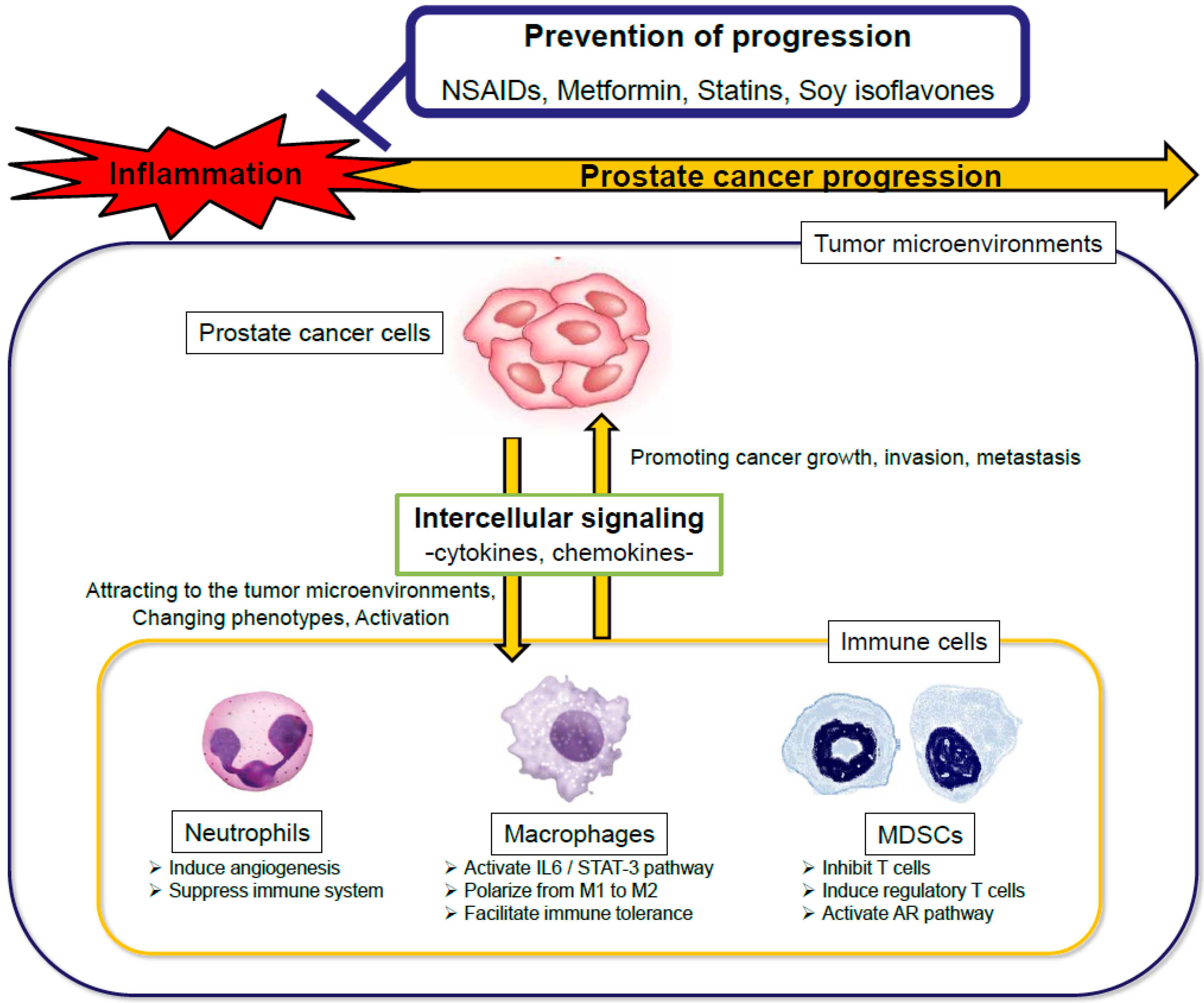 3 év Prostatitis