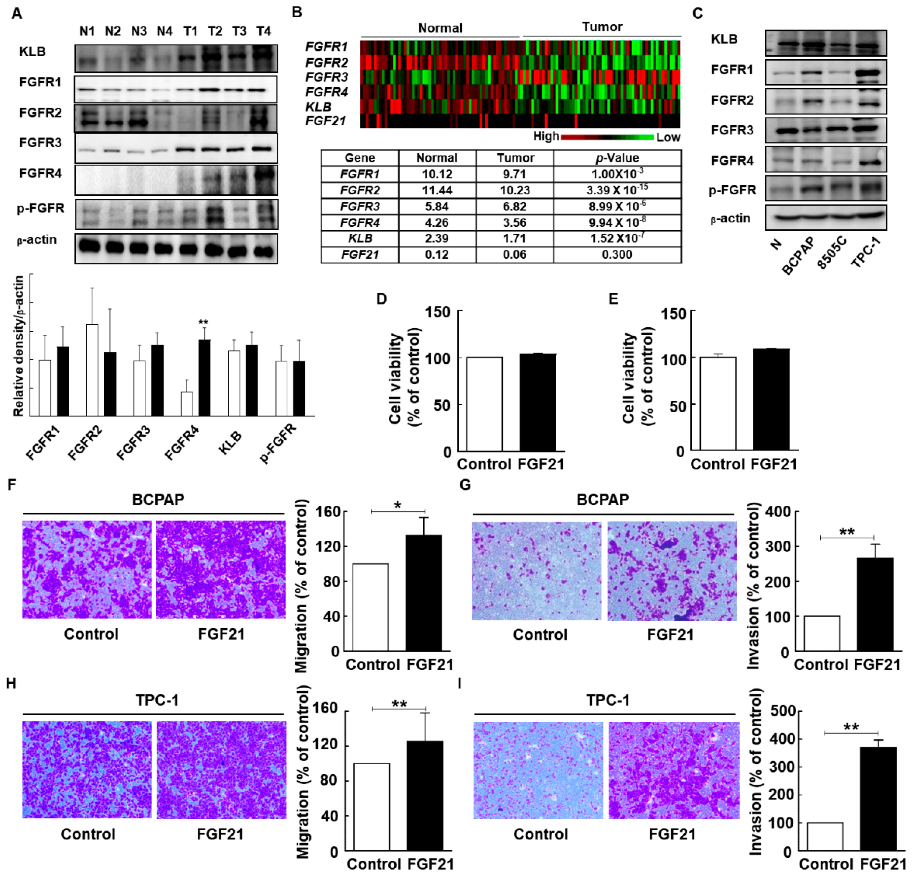 Cancers 11 01154 g003 Cancers 11 01154 g003