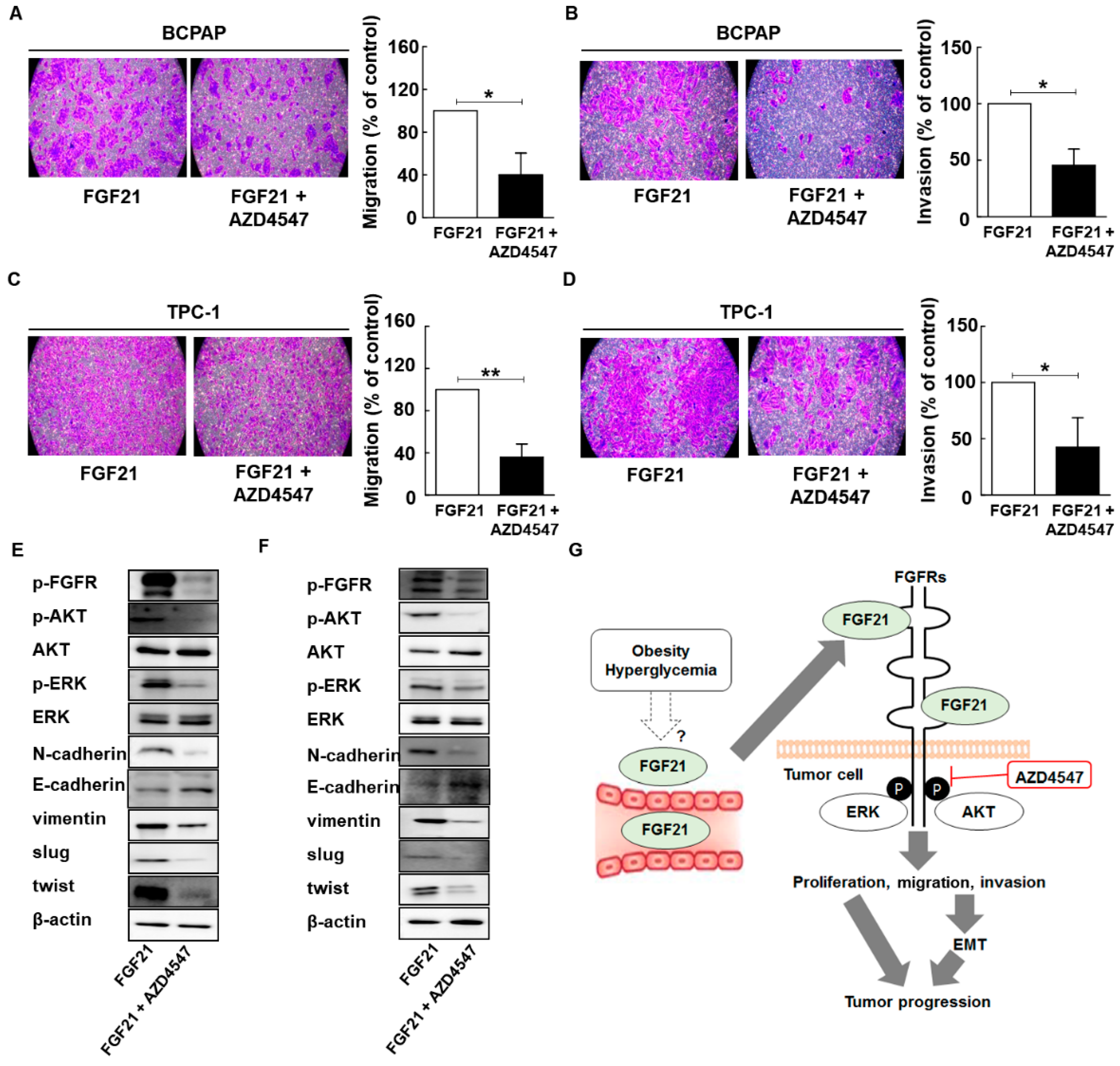 Cancers 11 01154 g005 Cancers 11 01154 g005