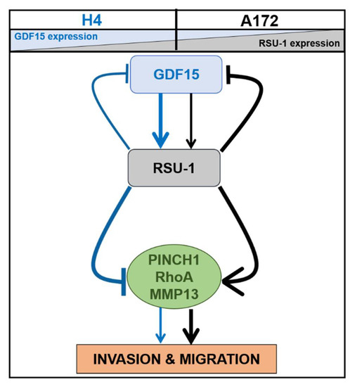 Influence of thiourea modification on the NH3-SCR activity