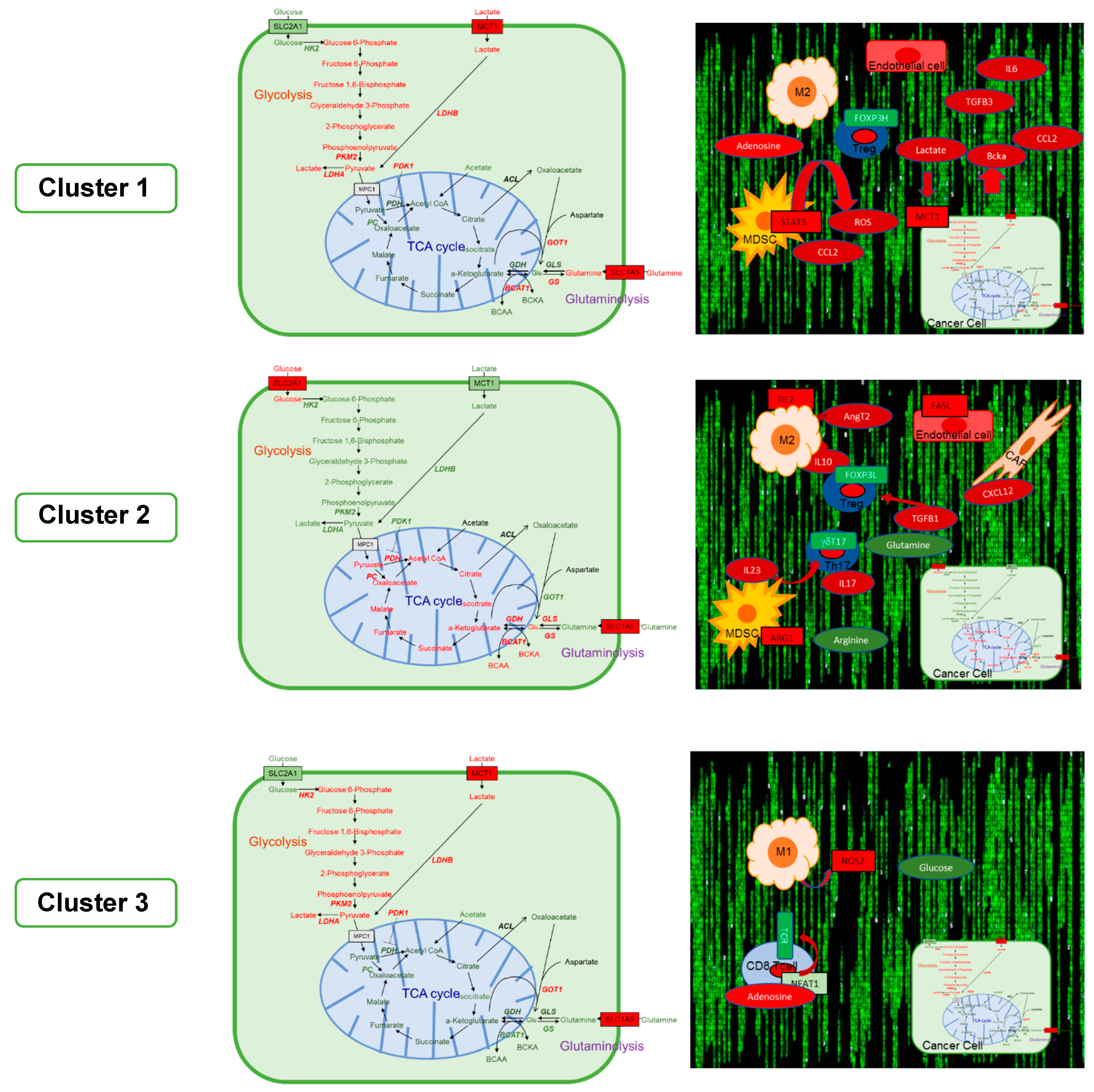 Cancers 11 01172 g001 Cancers 11 01172 g001