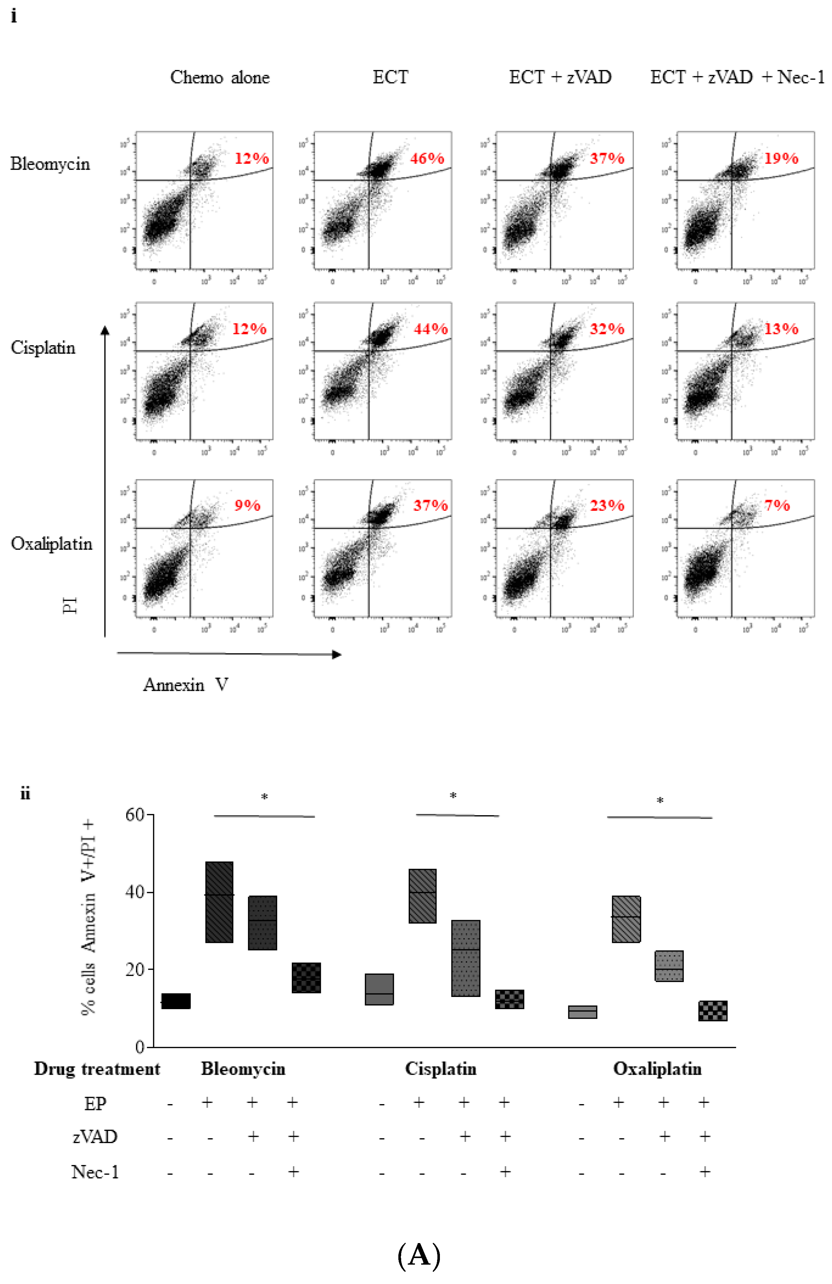 Cancers 11 01177 g004a Cancers 11 01177 g004a