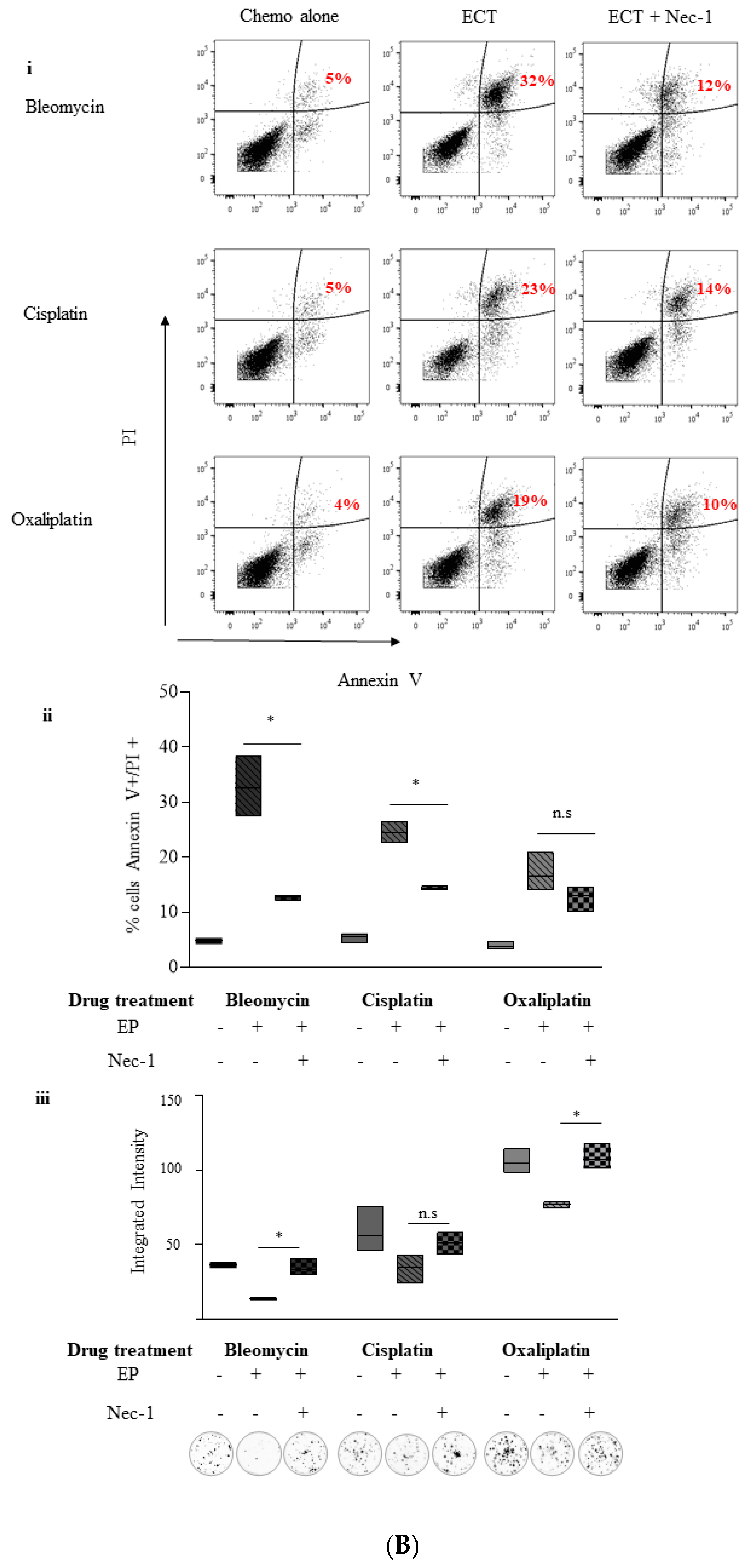 Cancers 11 01177 g005b Cancers 11 01177 g005b