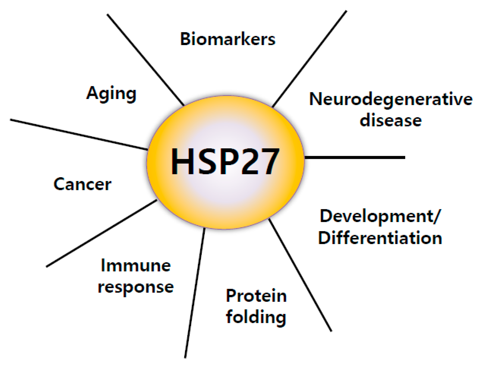 Cancers 11 01195 g001 Cancers 11 01195 g001