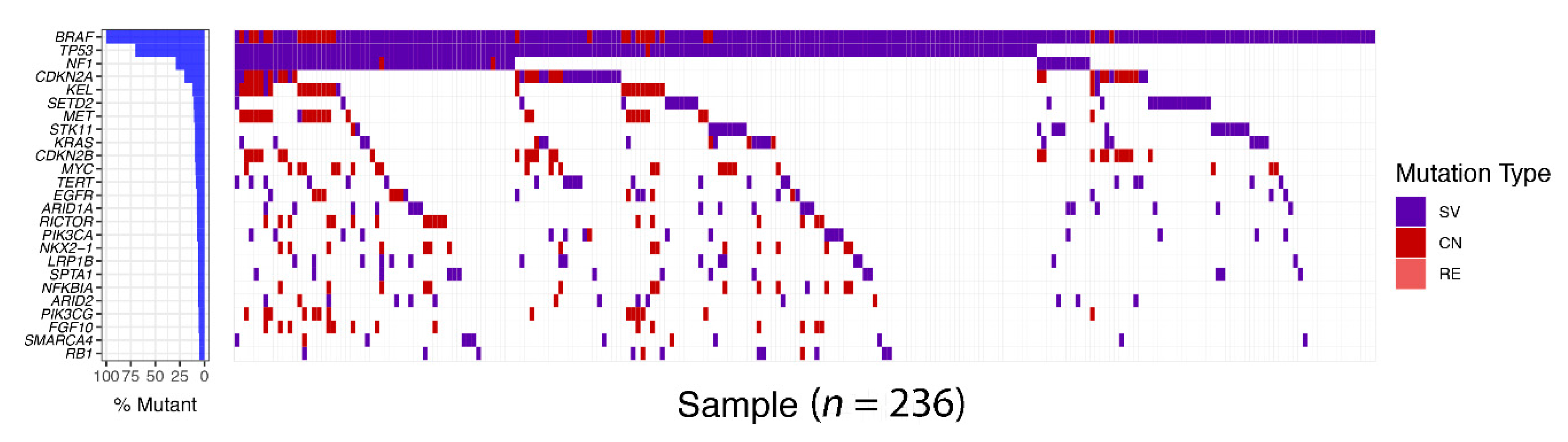 Cancers 11 01197 g004