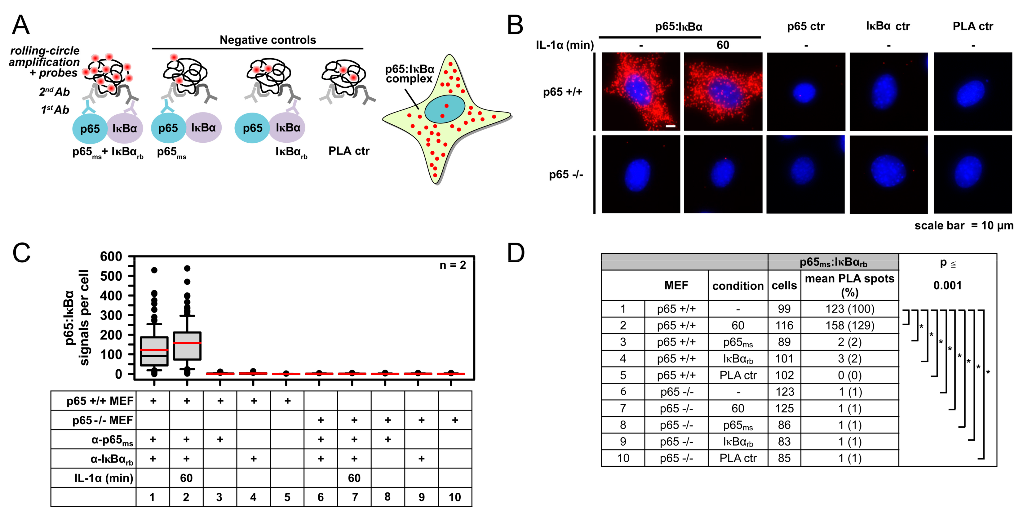 Cancers Free FullText SingleCell Analysis of Multiple Steps of