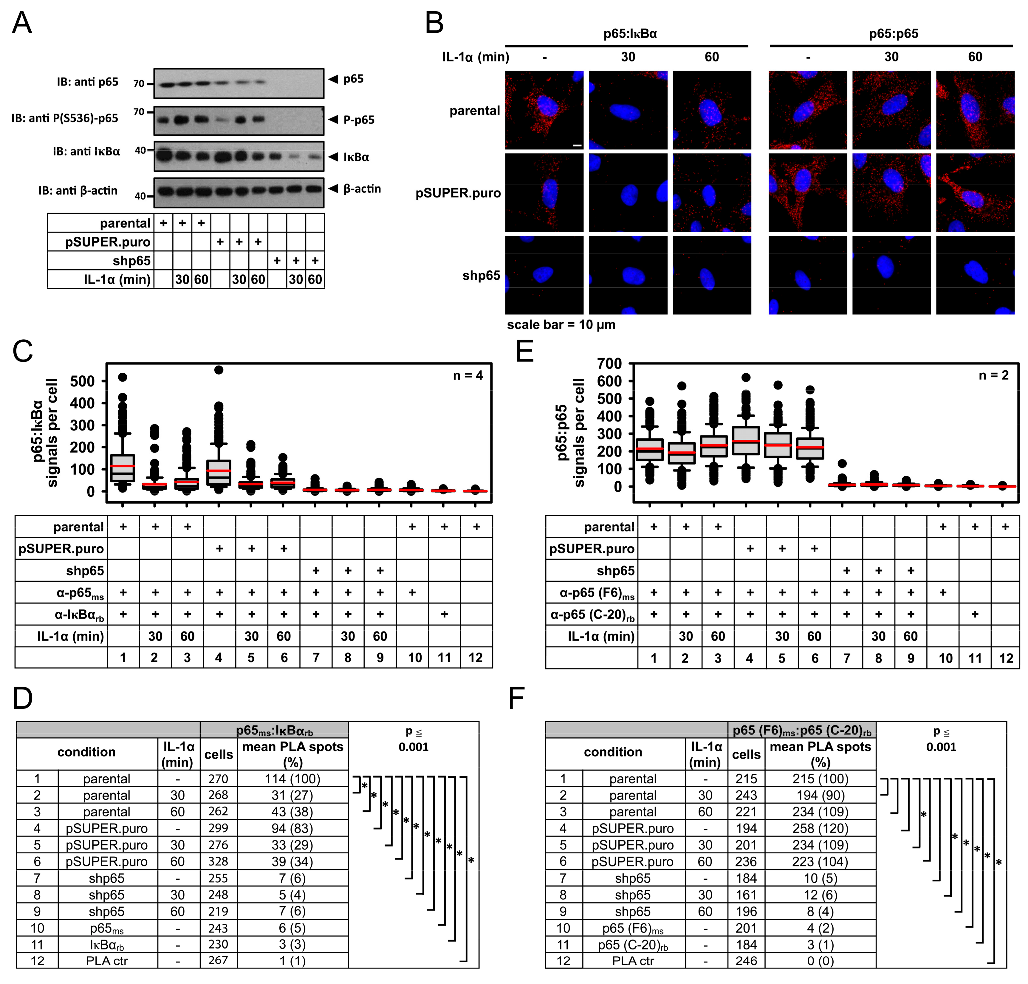Cancers 11 01199 g004