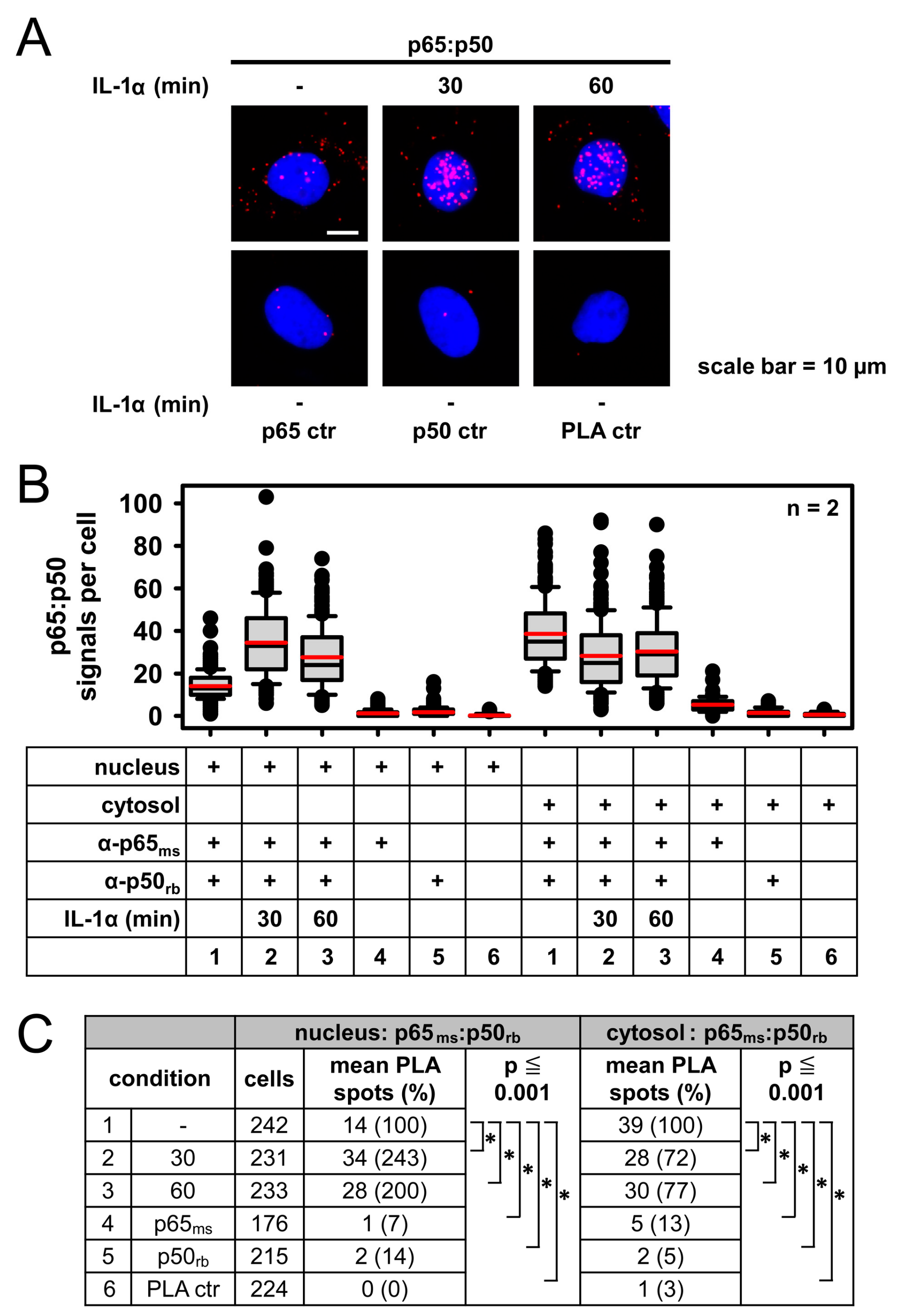 Cancers 11 01199 g005