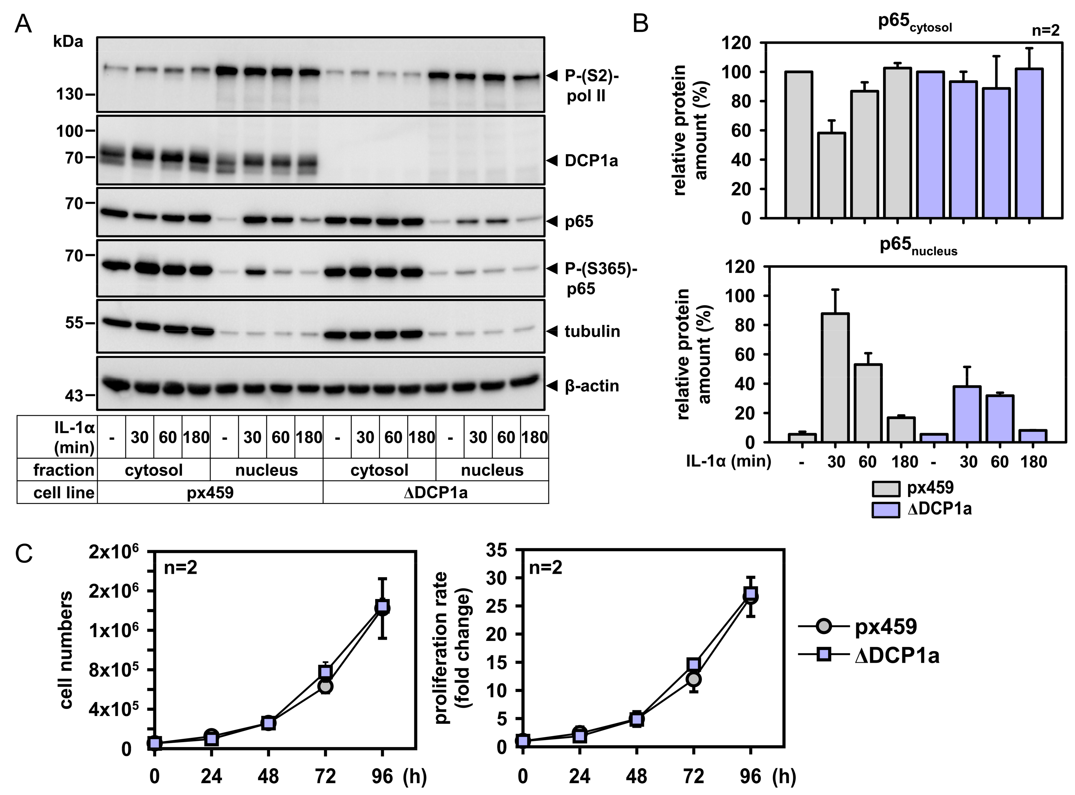 Cancers 11 01199 g007