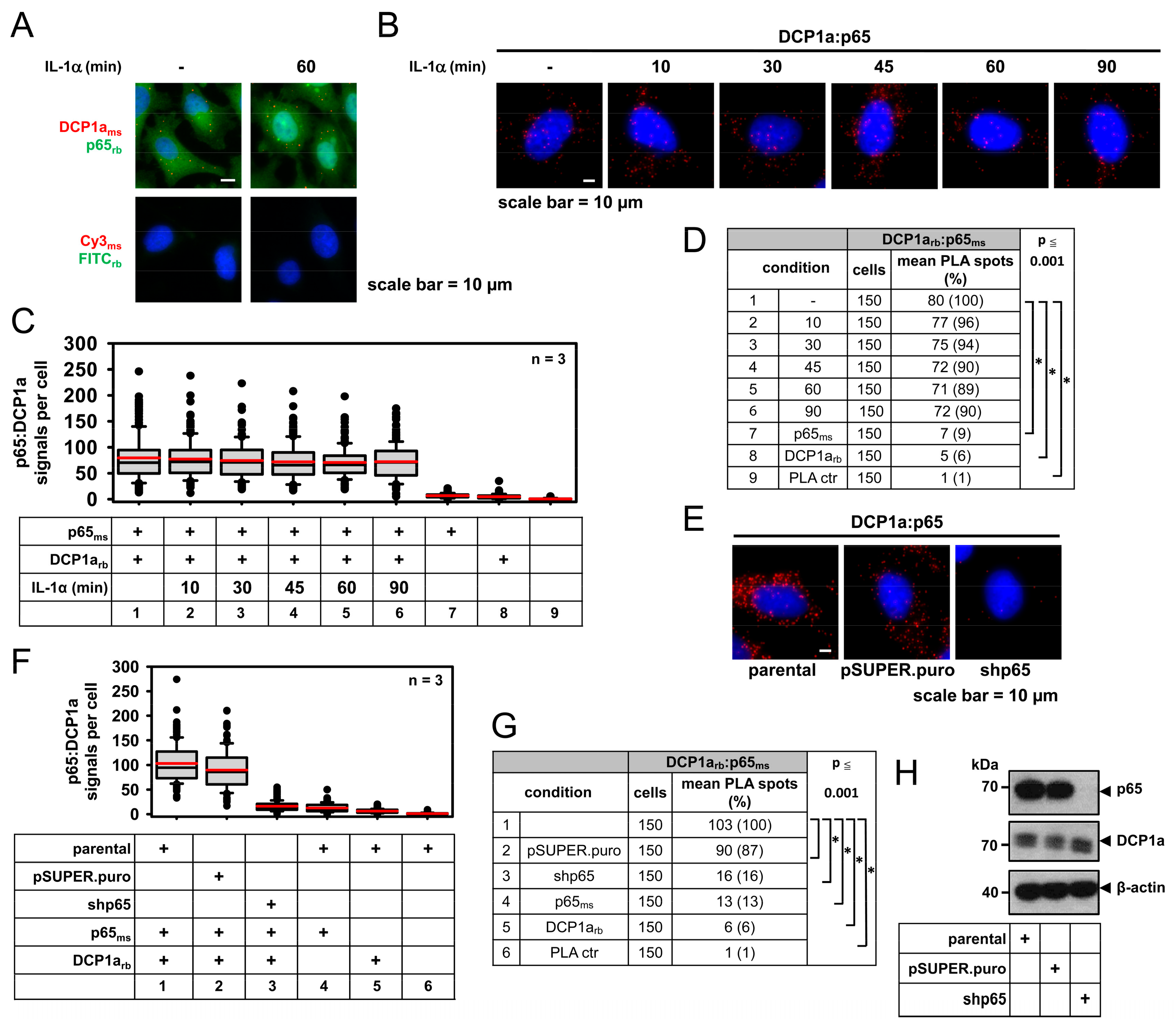 Cancers 11 01199 g008