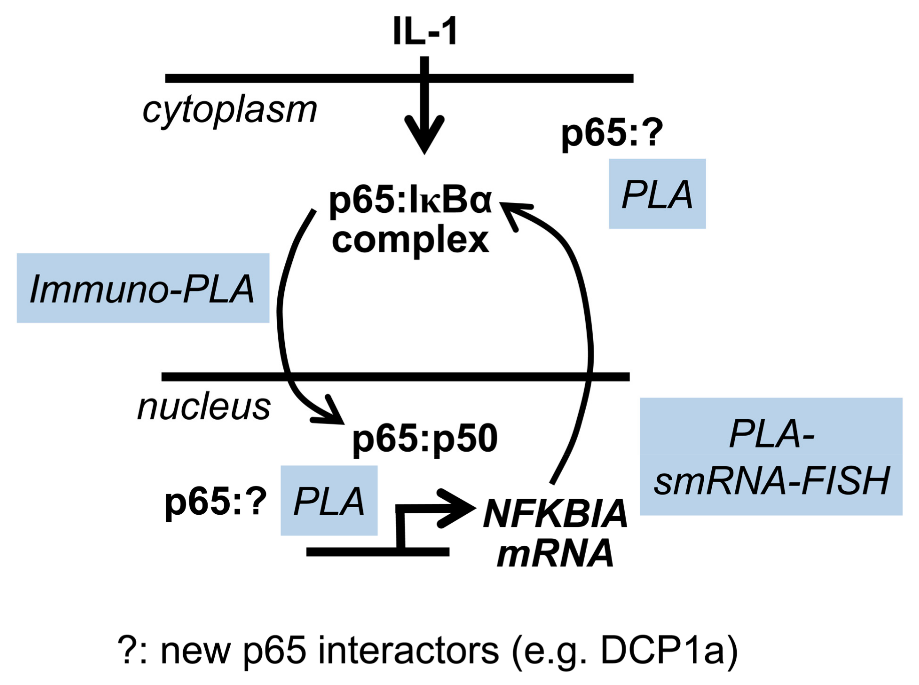Cancers 11 01199 g009